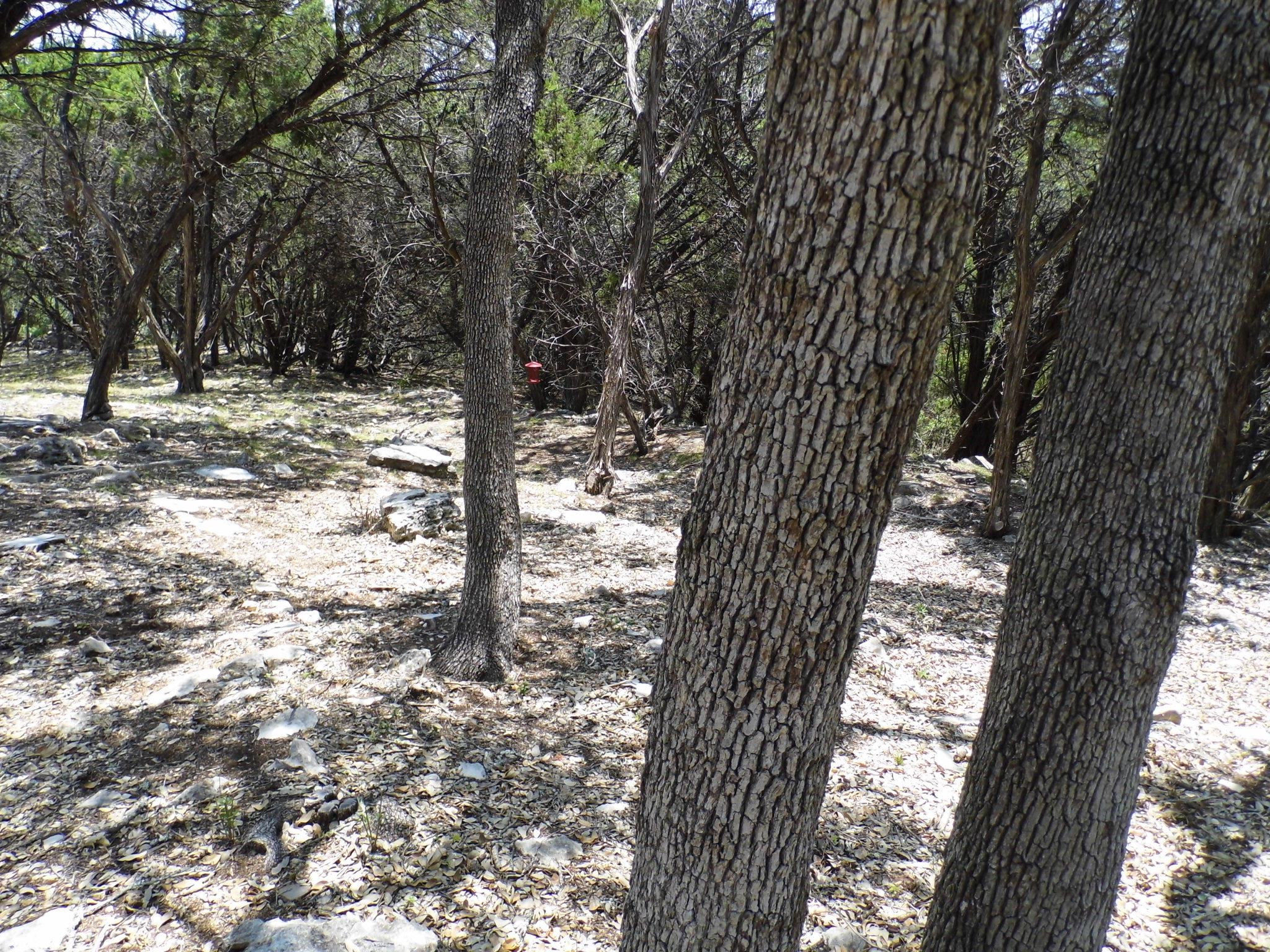 12333B RR 12 Rd # 2, Wimberley, TX 78676