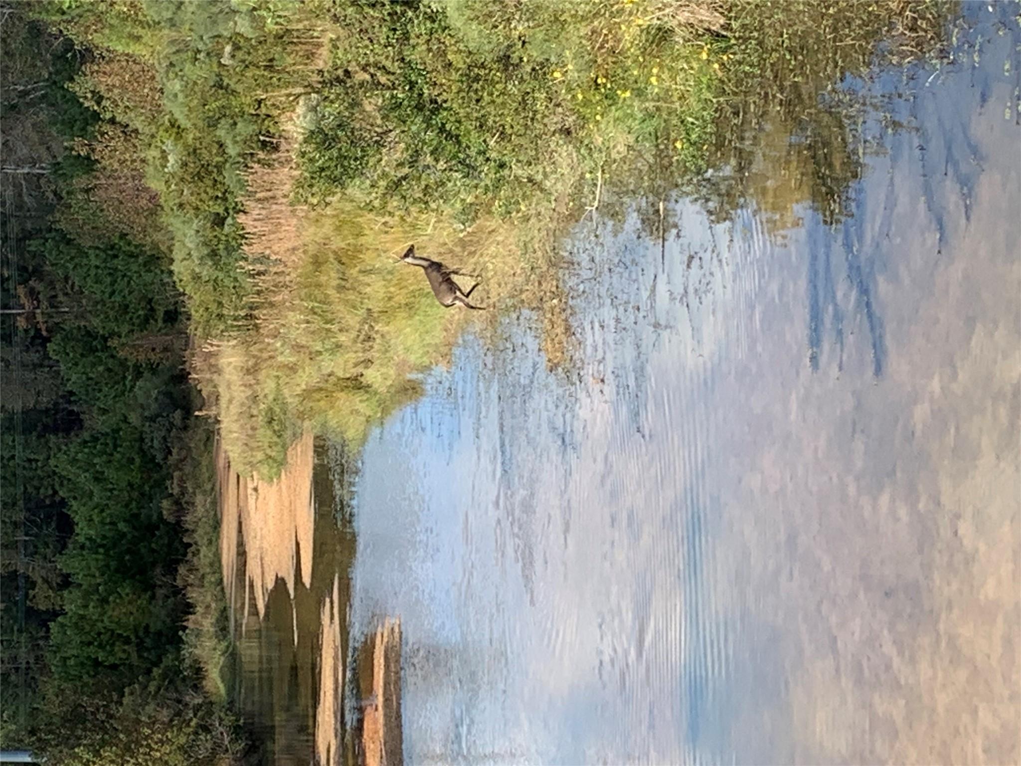 500 Nautica Ln, Montgomery, TX 77316