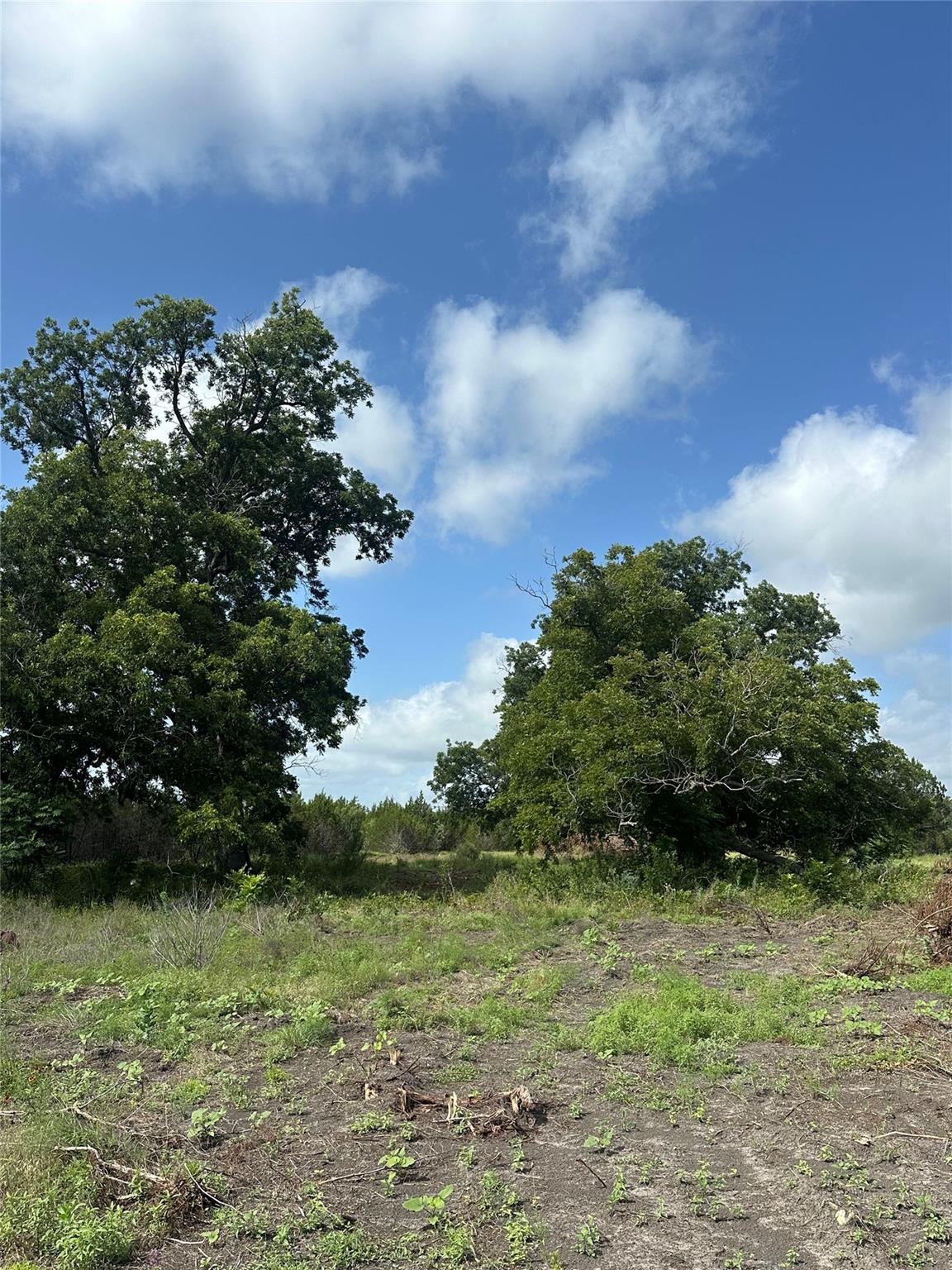 TBD County Road 1255, Lampasas, TX 76550