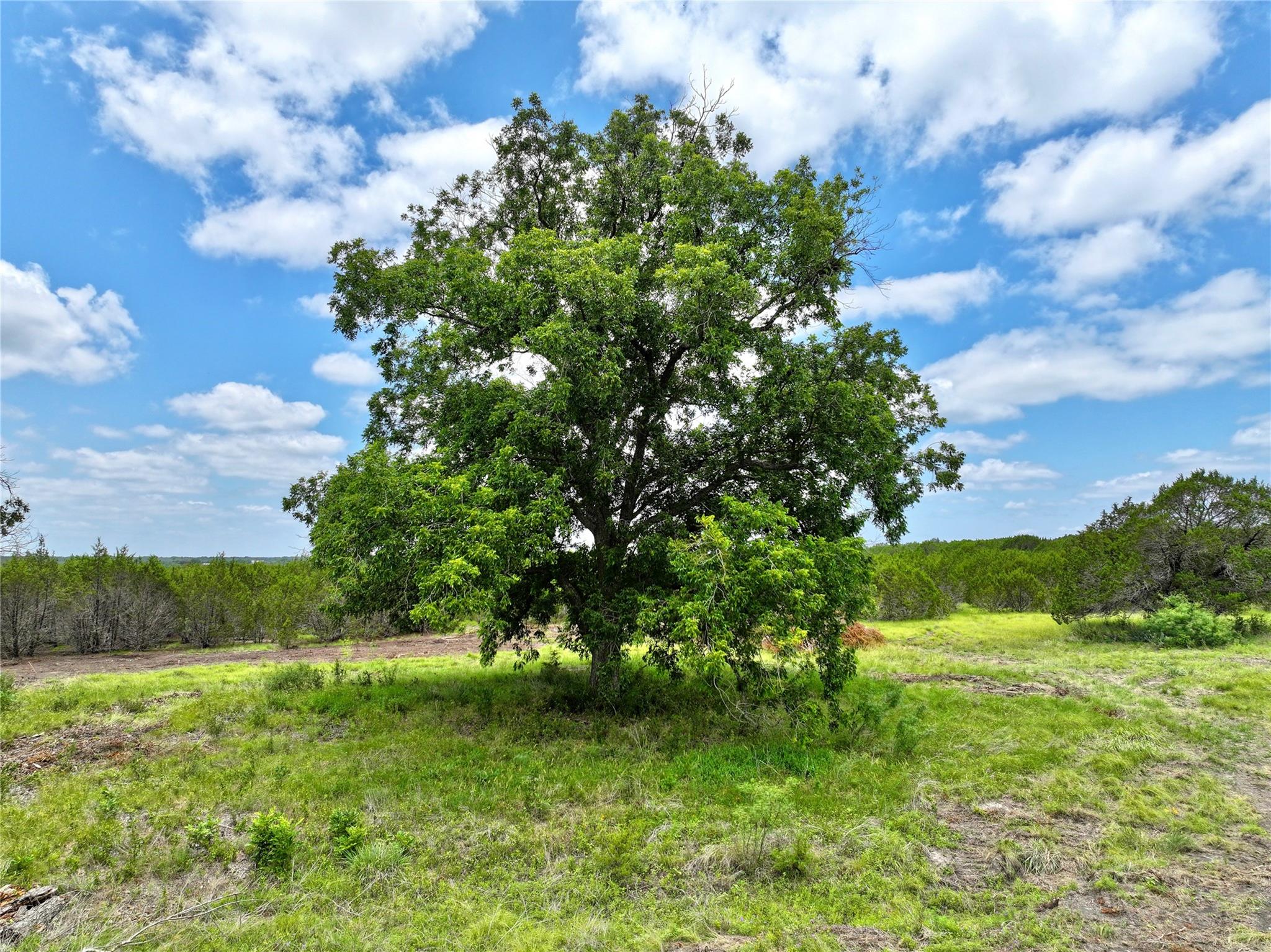 TBD County Road 1255, Lampasas, TX 76550