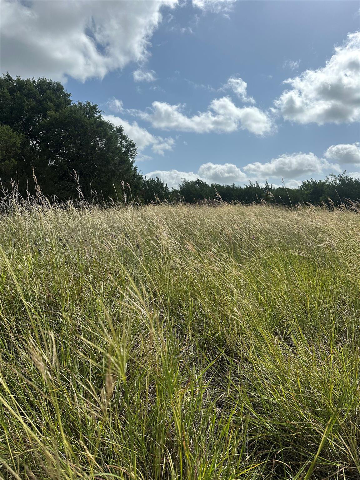 TBD County Road 1255, Lampasas, TX 76550