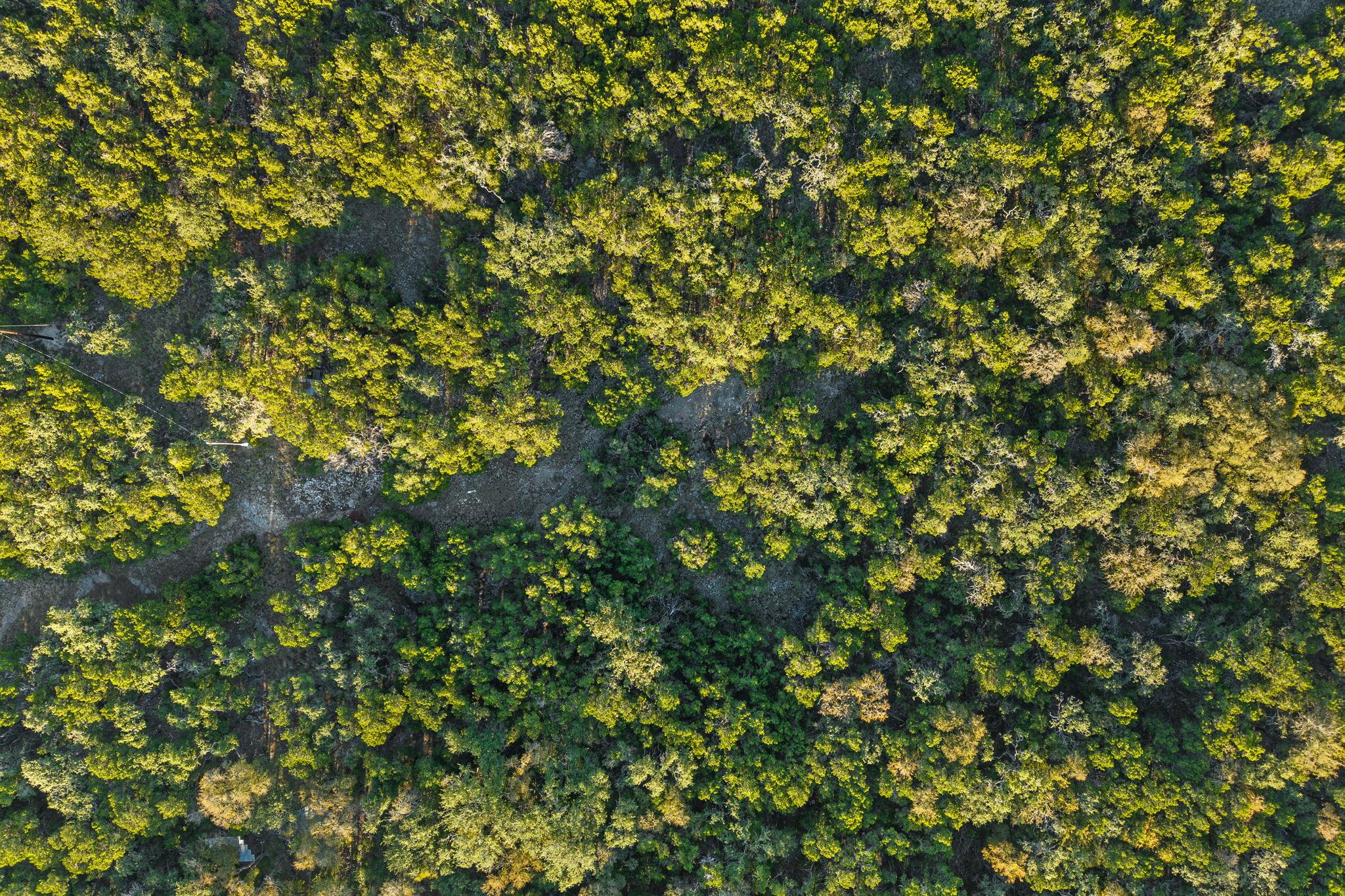 2701 Alpine Trl, San Marcos, TX 78666