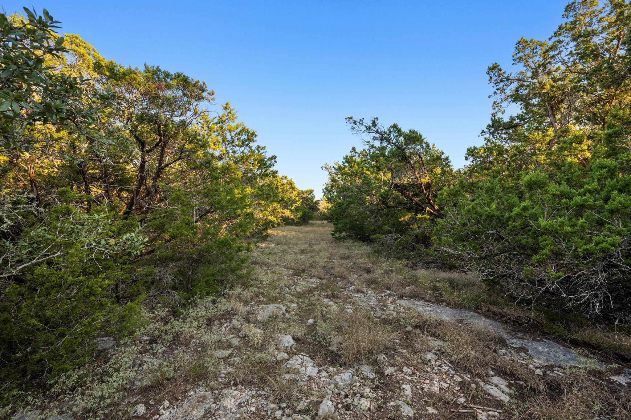 2701 Alpine Trl, San Marcos, TX 78666