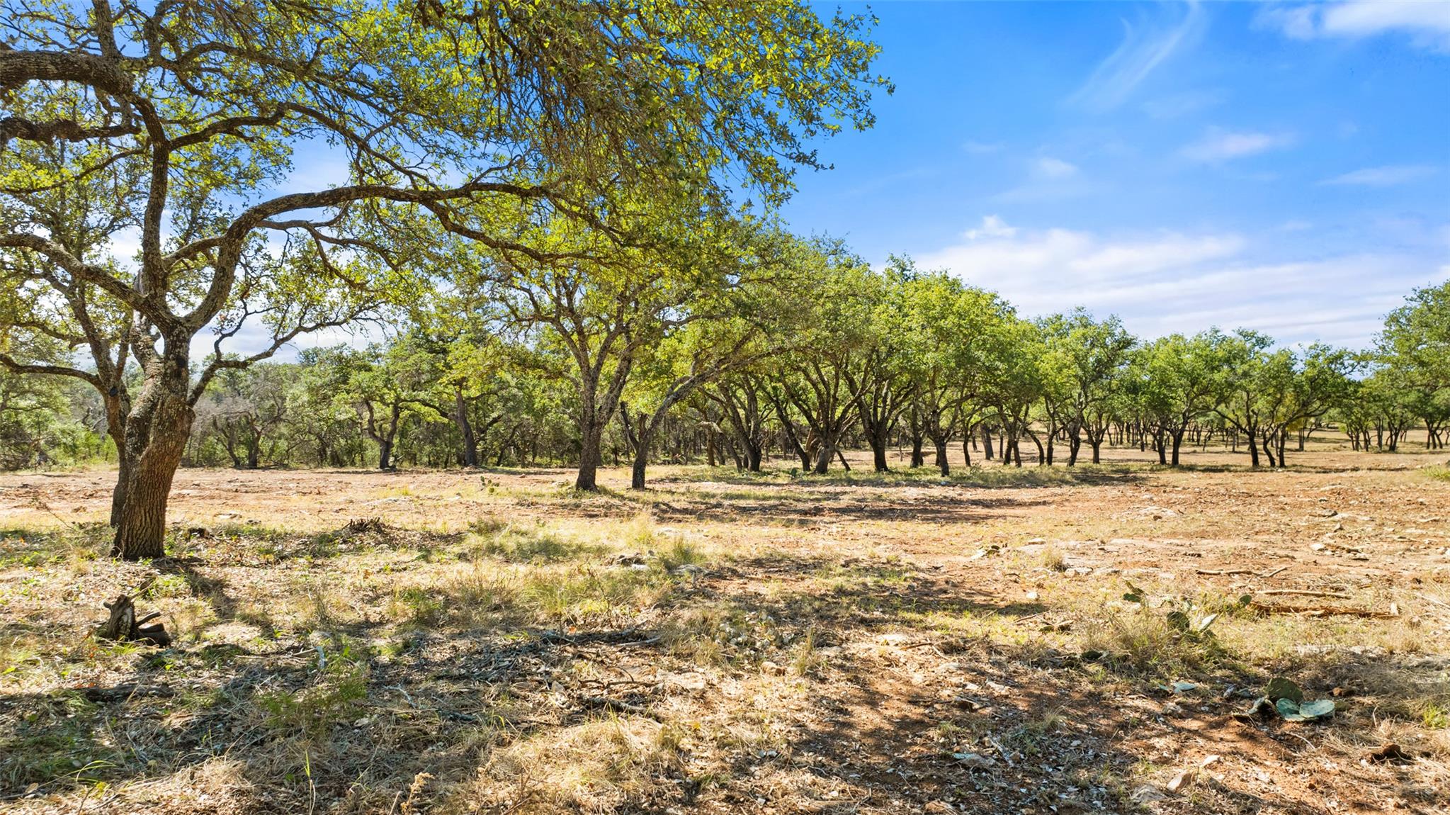 2560 Towhead Valley Rd, Johnson City, TX 78636