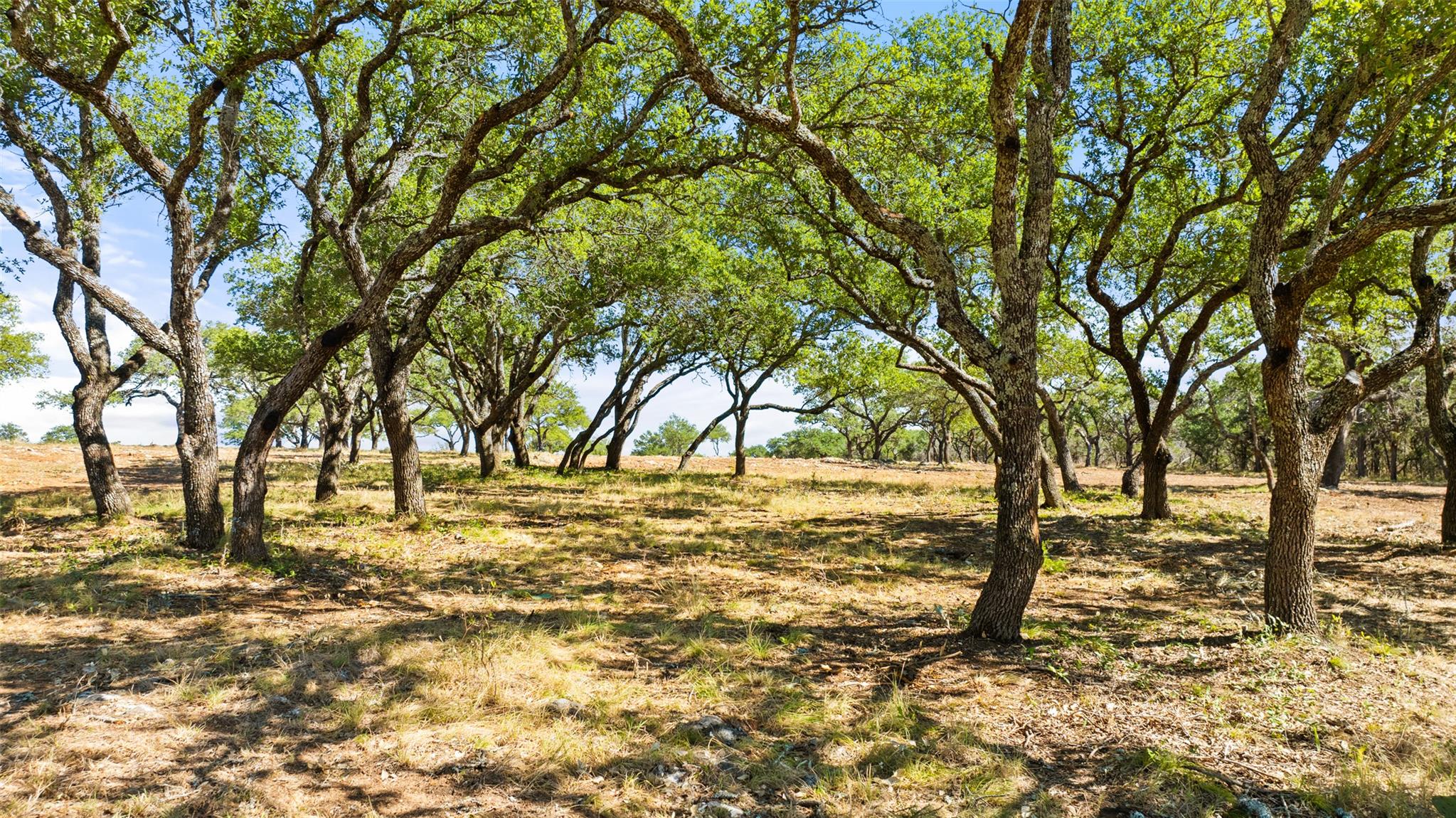 2560 Towhead Valley Rd, Johnson City, TX 78636