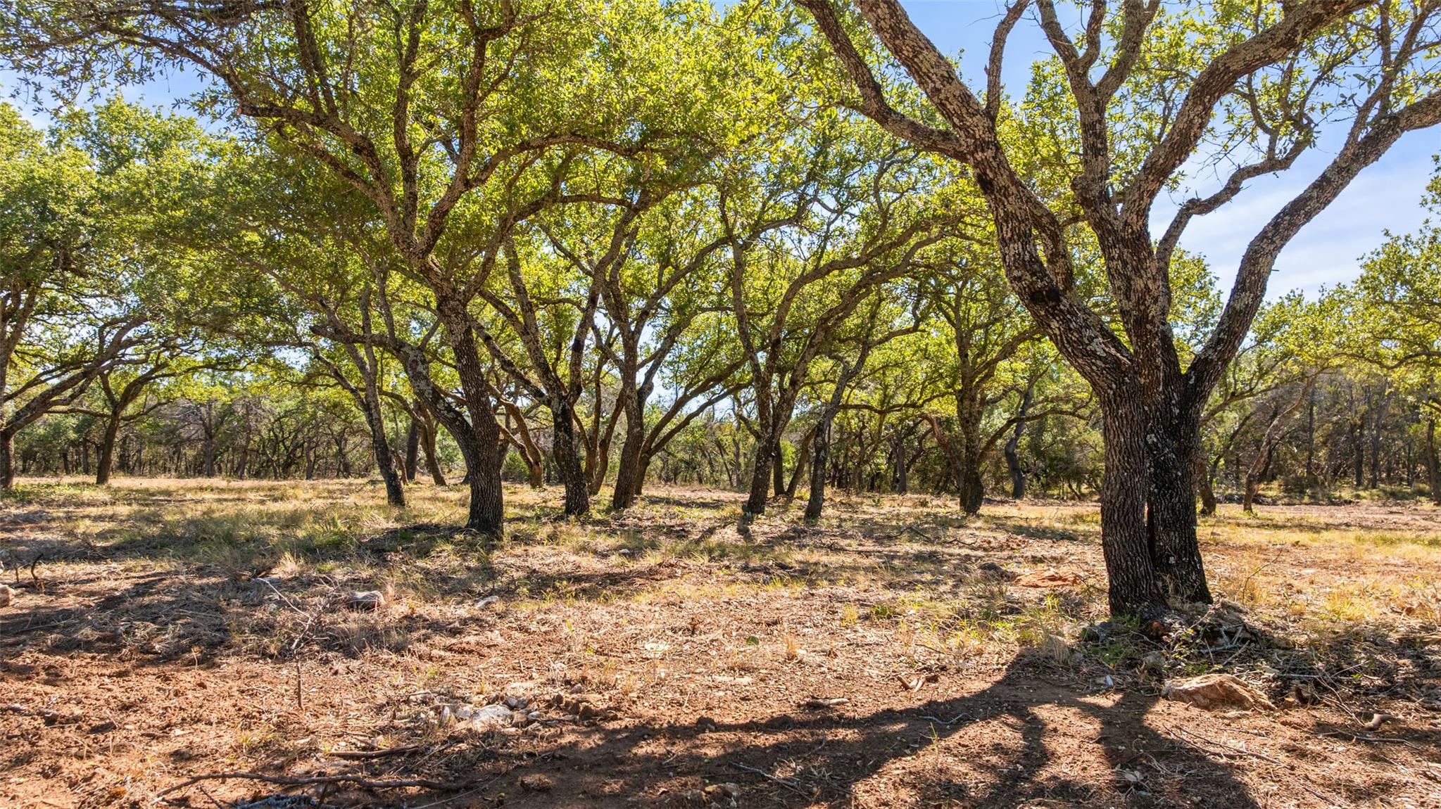 2560 Towhead Valley Rd, Johnson City, TX 78636