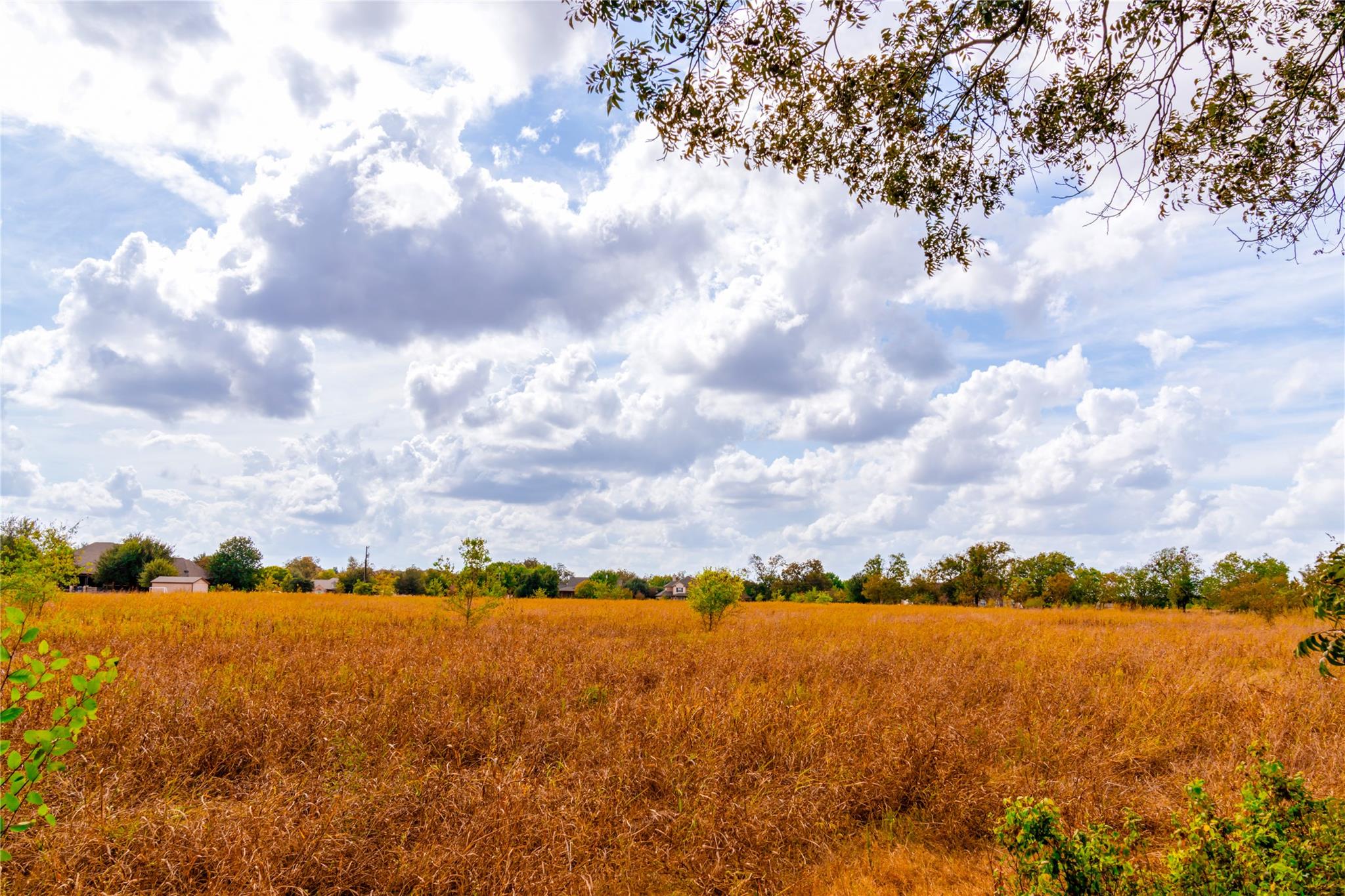 159 Brushy Creek Trl, Hutto, TX 78634