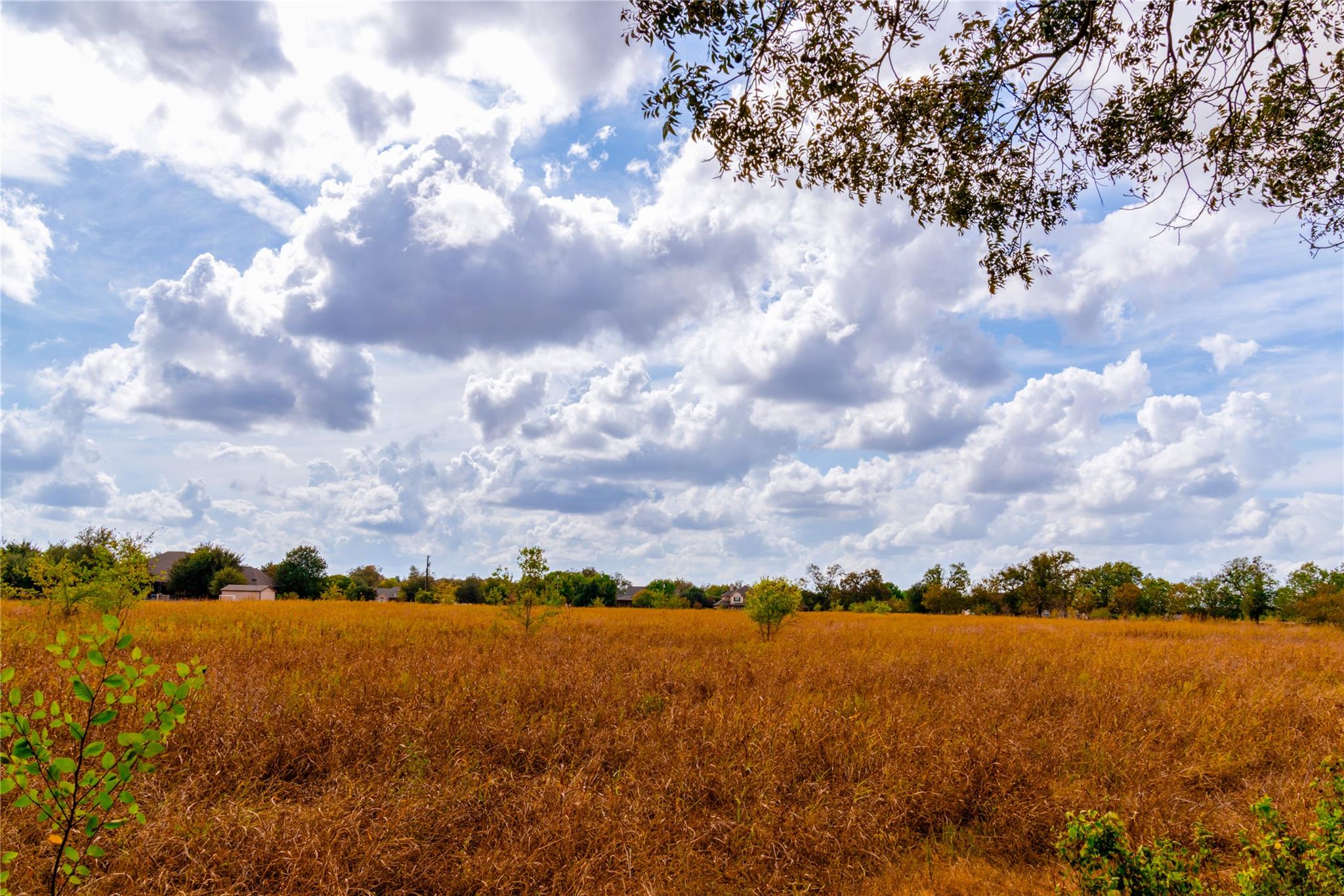 159 Brushy Creek Trl, Hutto, TX 78634