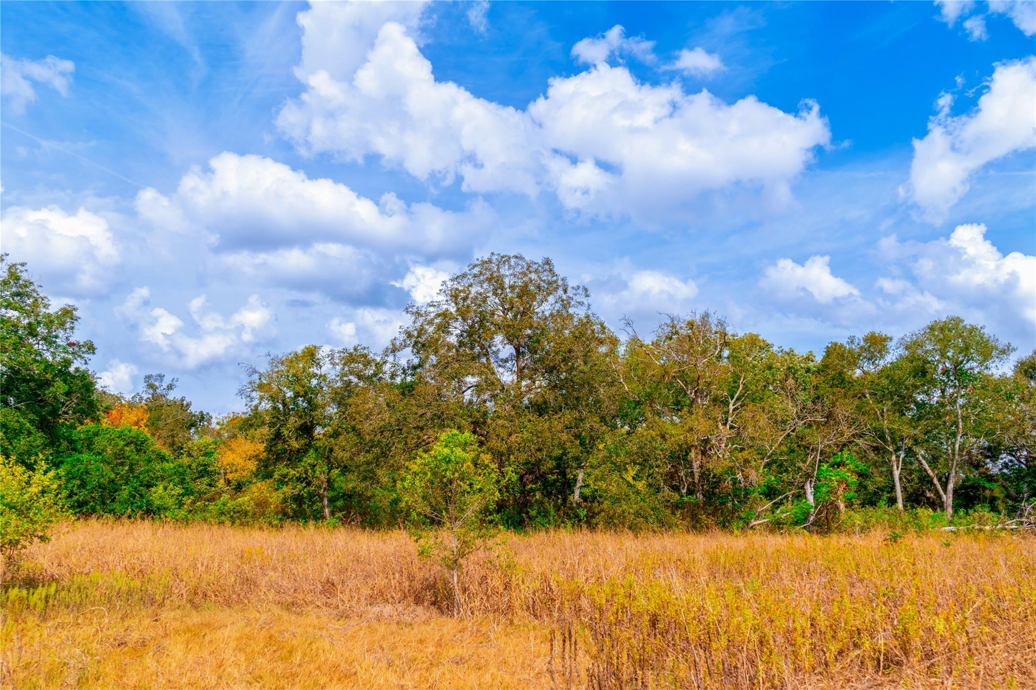 159 Brushy Creek Trl, Hutto, TX 78634