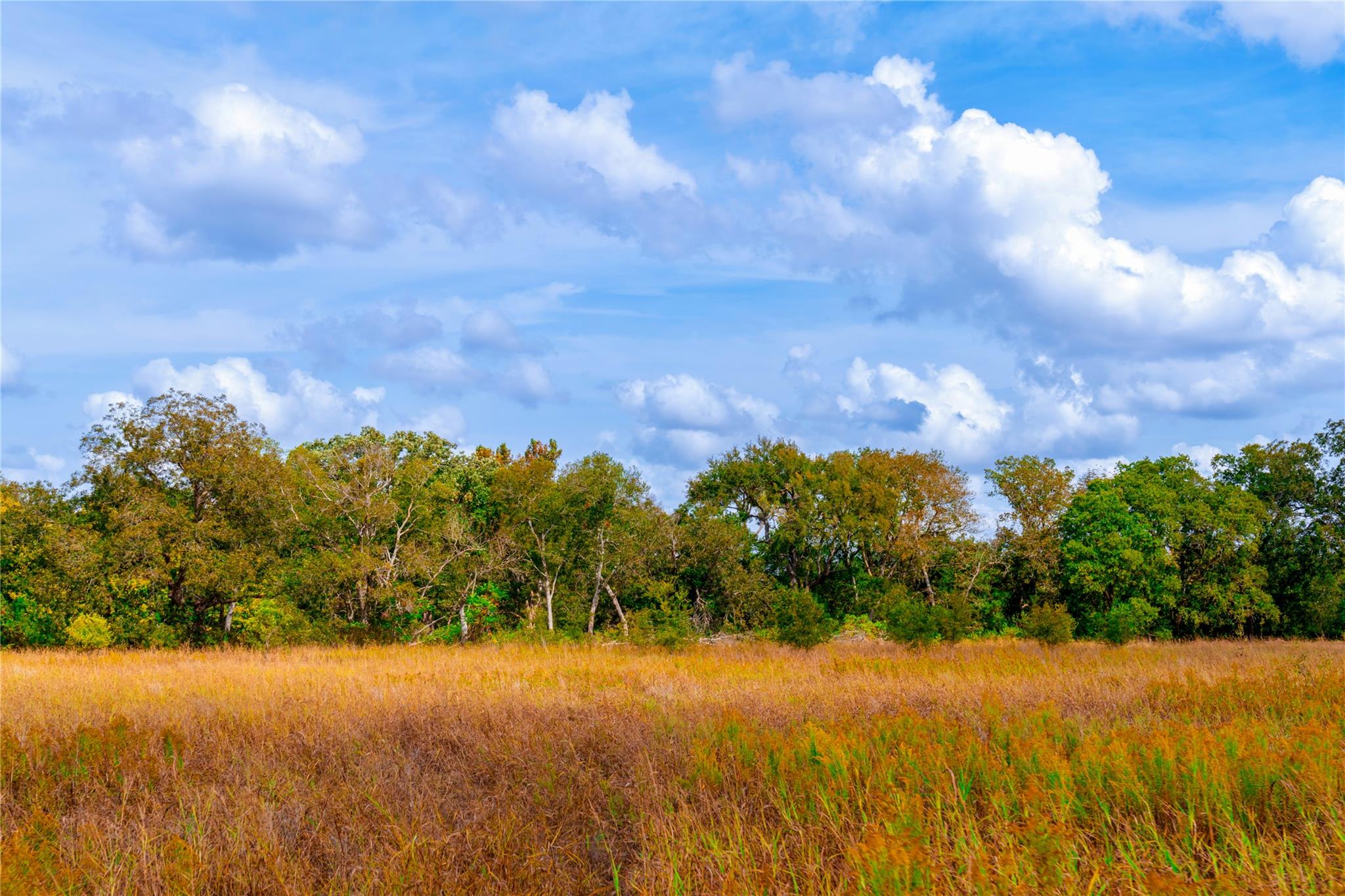 159 Brushy Creek Trl, Hutto, TX 78634