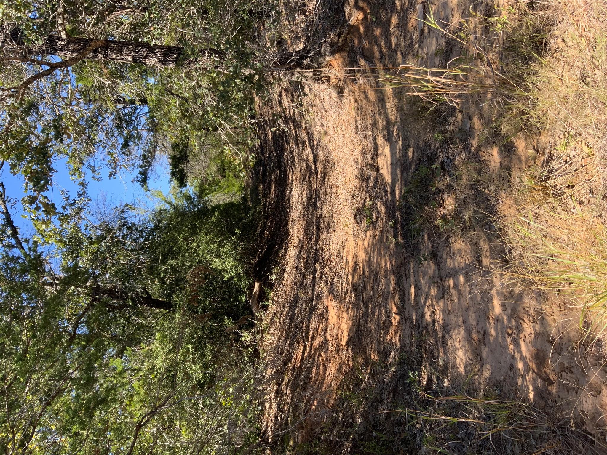 000 County Road 304, Lexington, TX 78947