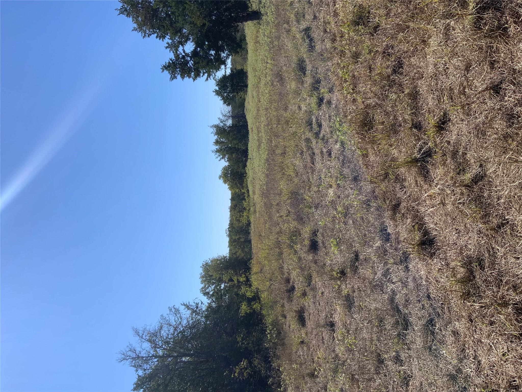 000 County Road 304, Lexington, TX 78947