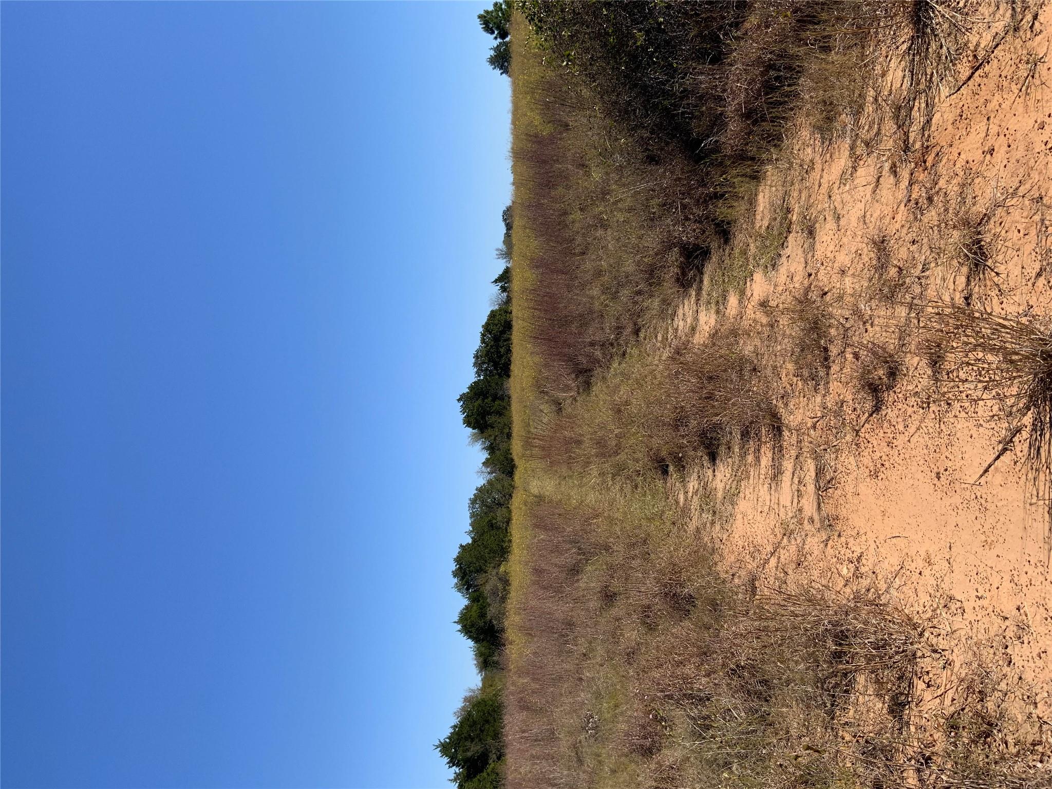 000 County Road 304, Lexington, TX 78947