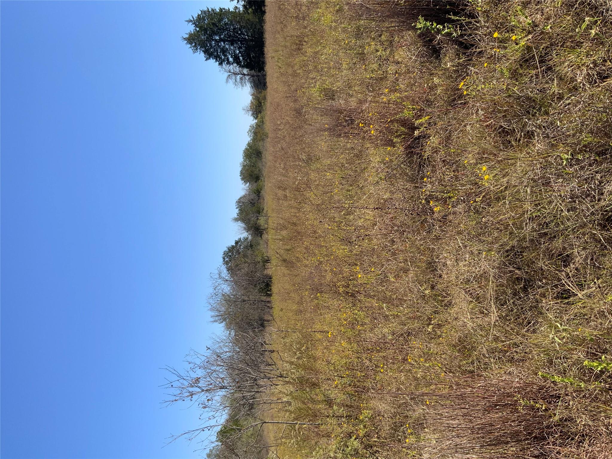 000 County Road 304, Lexington, TX 78947