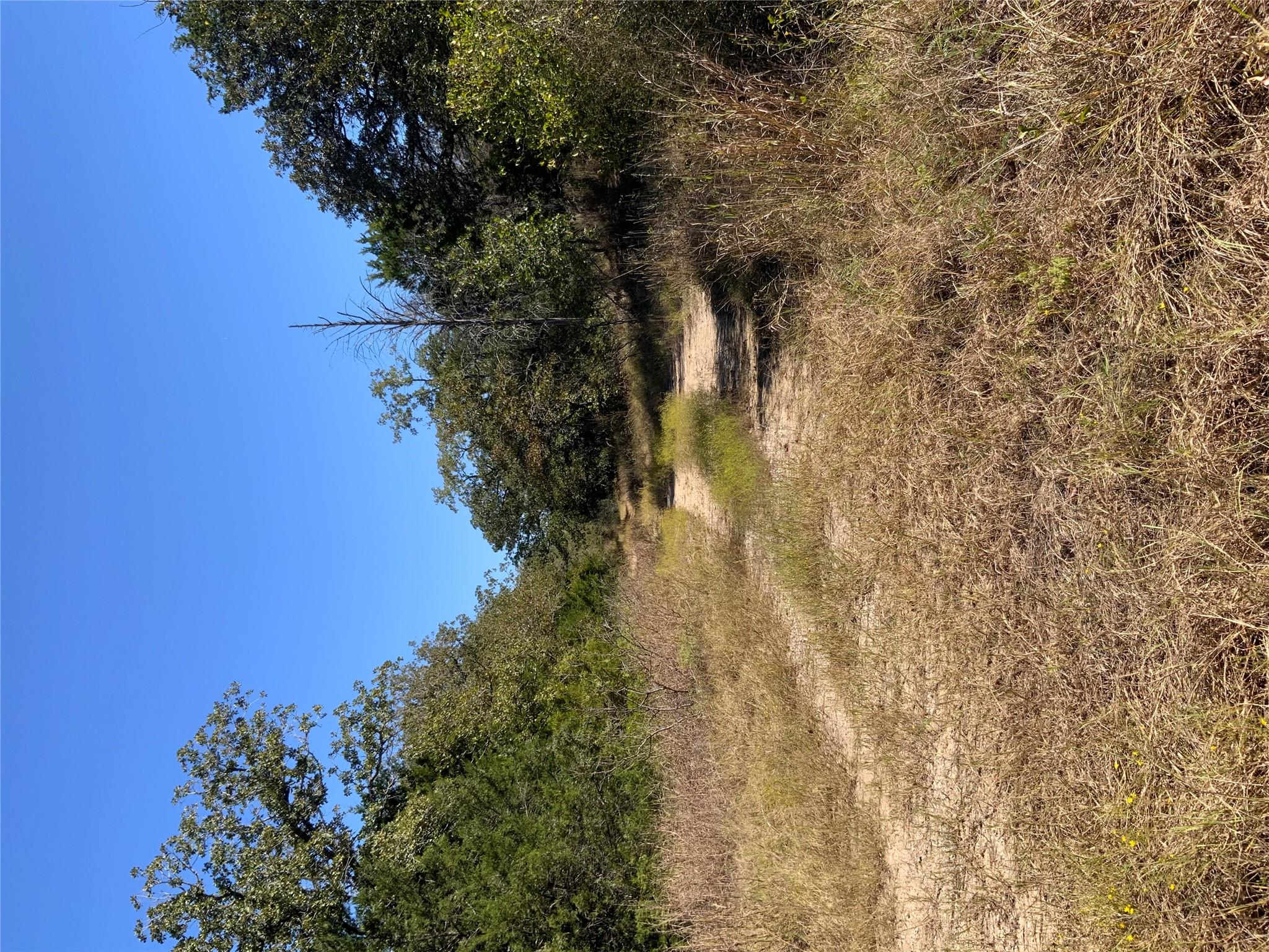 000 County Road 304, Lexington, TX 78947