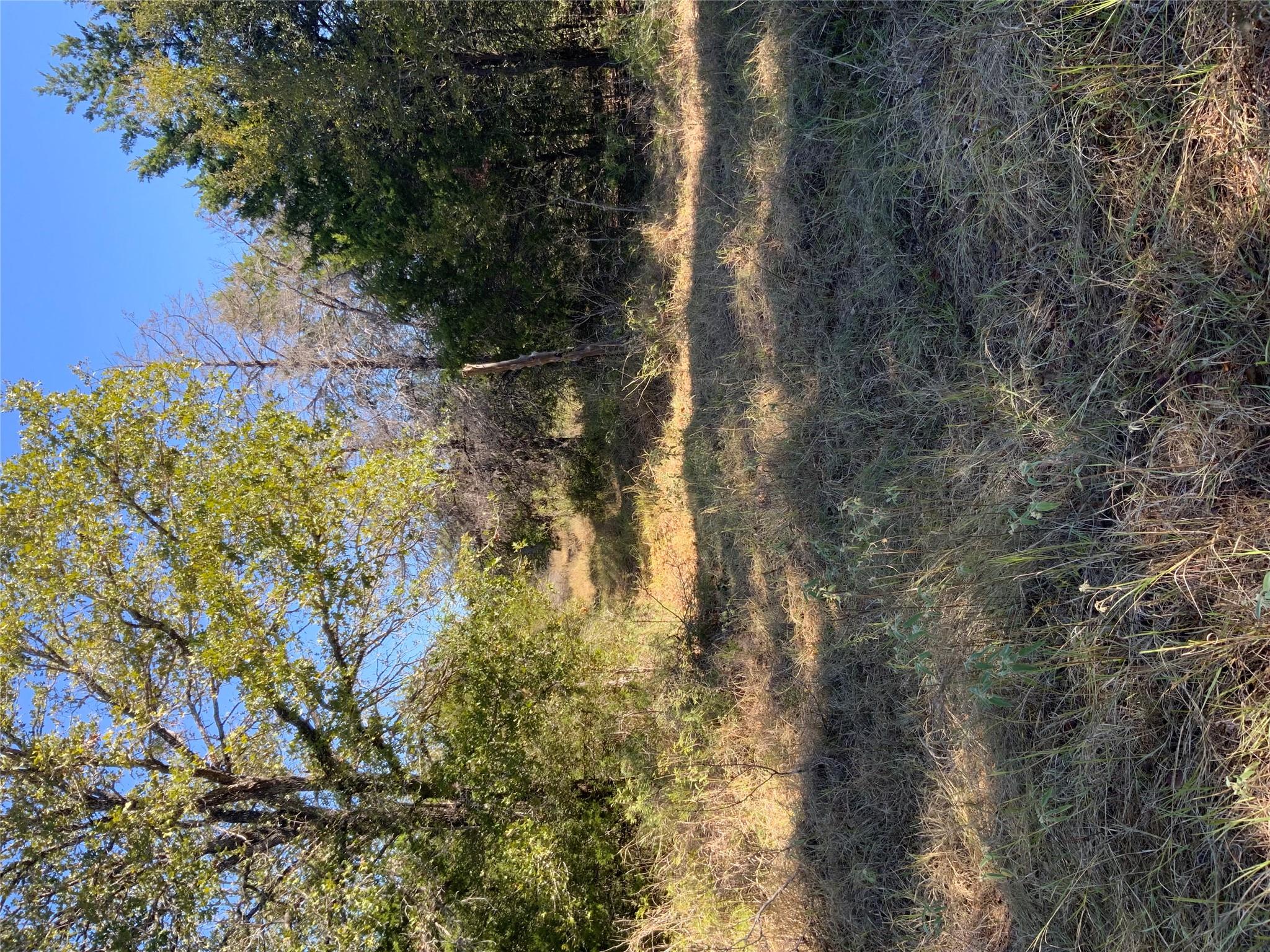 000 County Road 304, Lexington, TX 78947