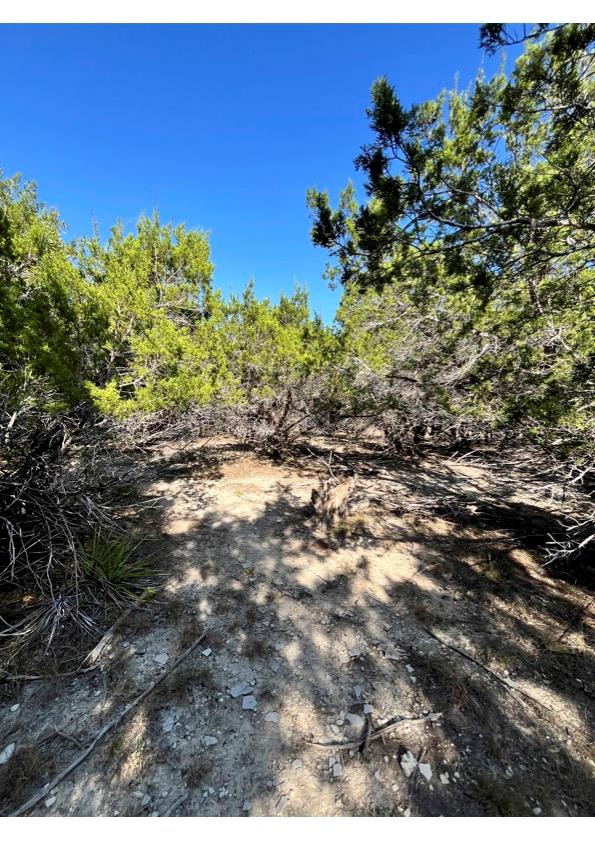 10802 & 10804 Timber Circle Cir, Dripping Springs, TX 78620