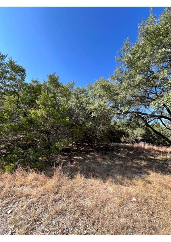 10802 & 10804 Timber Circle Cir, Dripping Springs, TX 78620