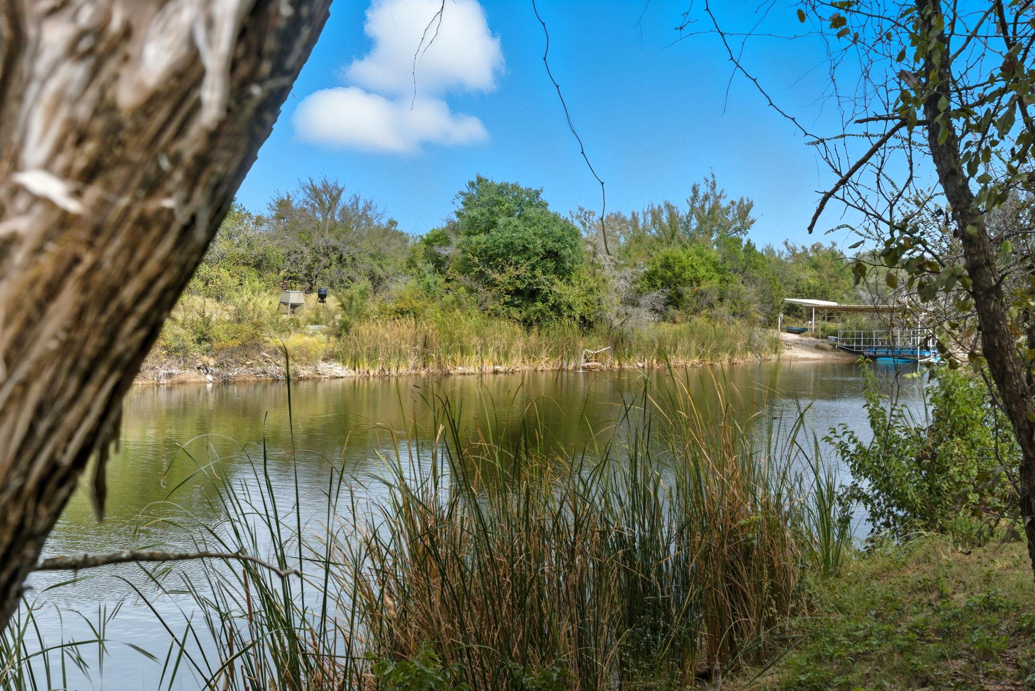 4636 Halsell Ranch Rd, Jacksboro, TX 76458