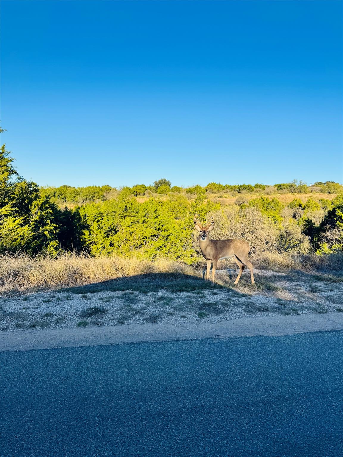 22051 Long Shot, Horseshoe Bay, TX 78657