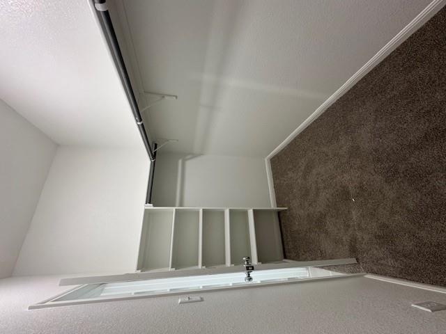 127 Tolo Dr, Elgin, TX 78621