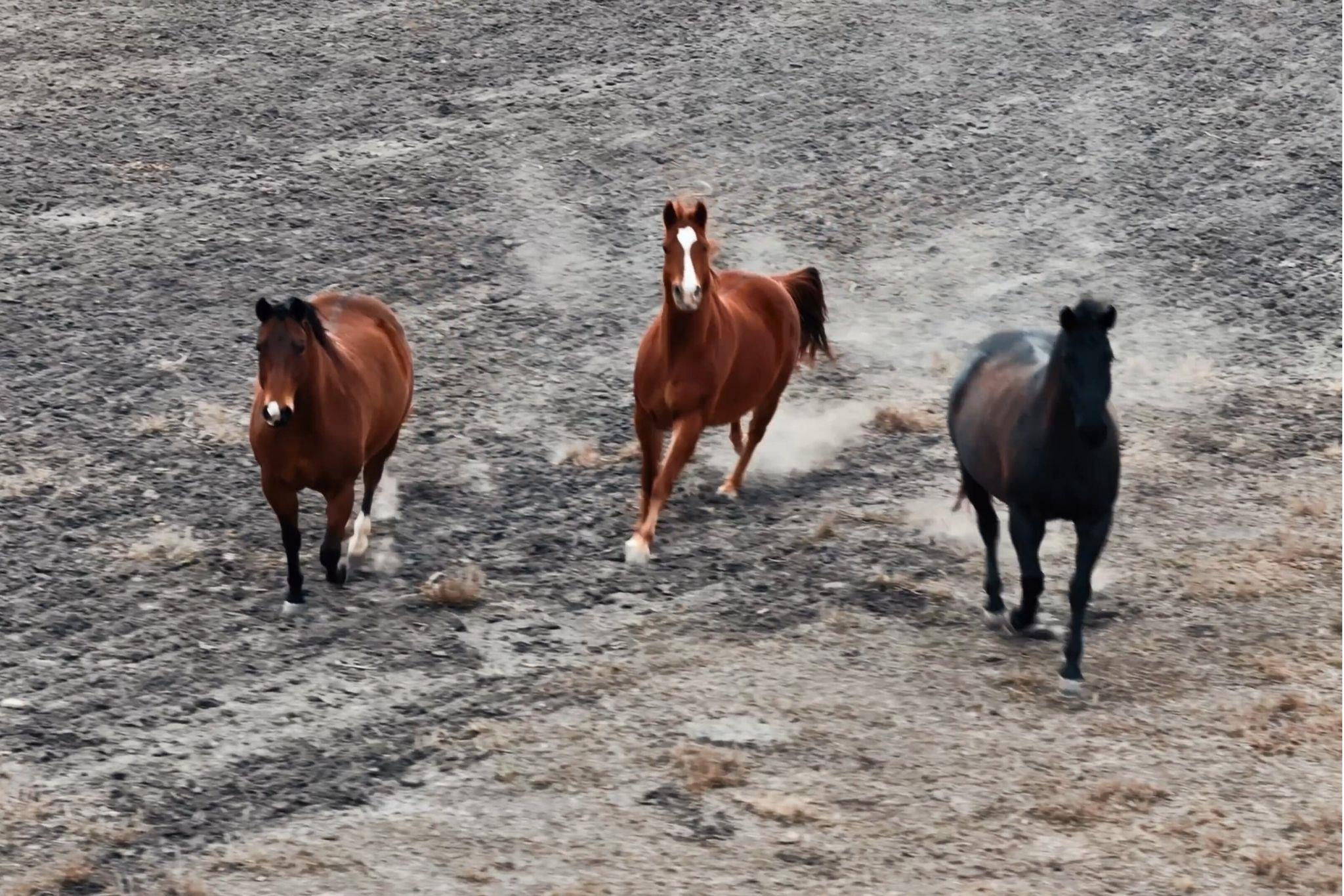 1274 County Road 2806, Lampasas, TX 76550