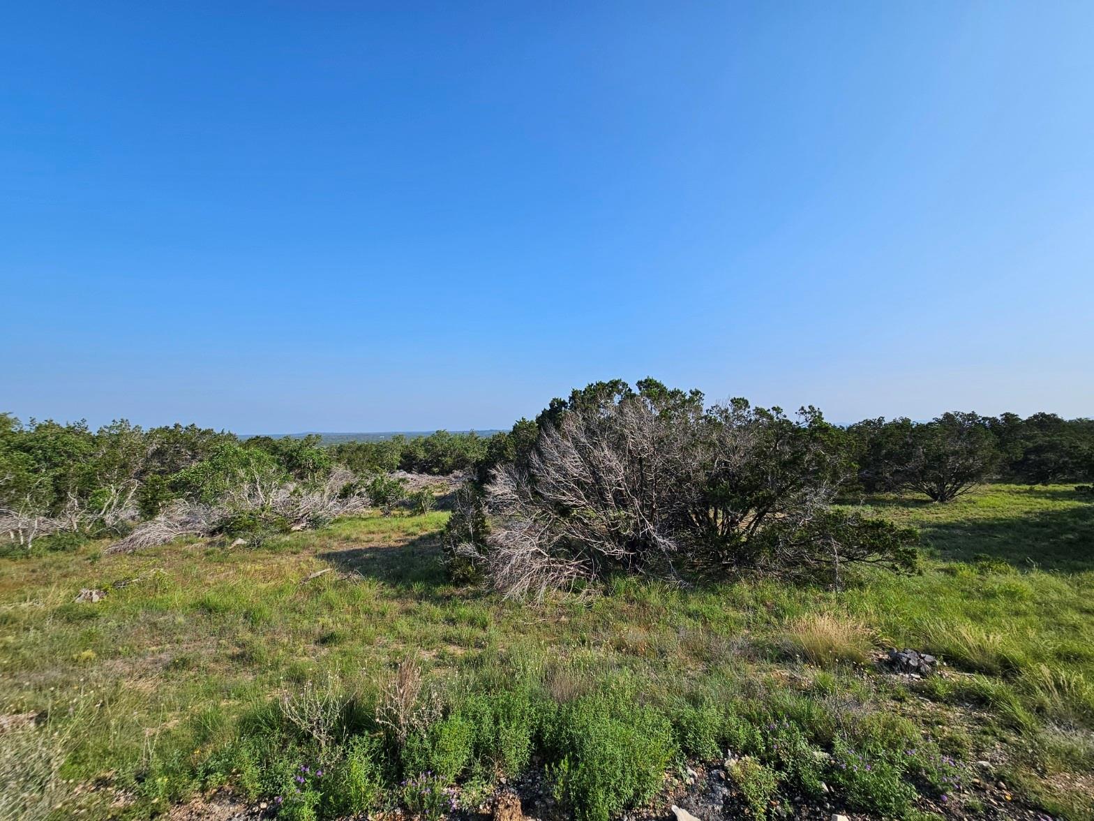 000 Windmill Ridge Dr, Blanco, TX 78606