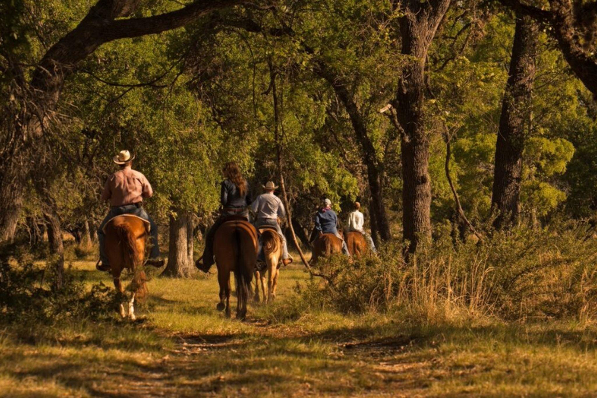 353 Agarita Way, Johnson City, TX 78636