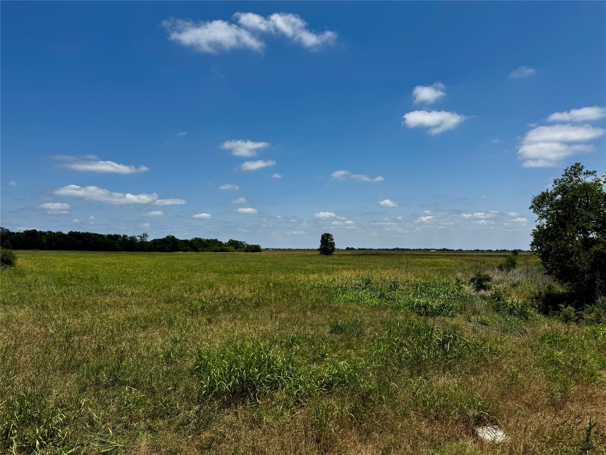 3645 Fm 3349, Taylor, TX 76574