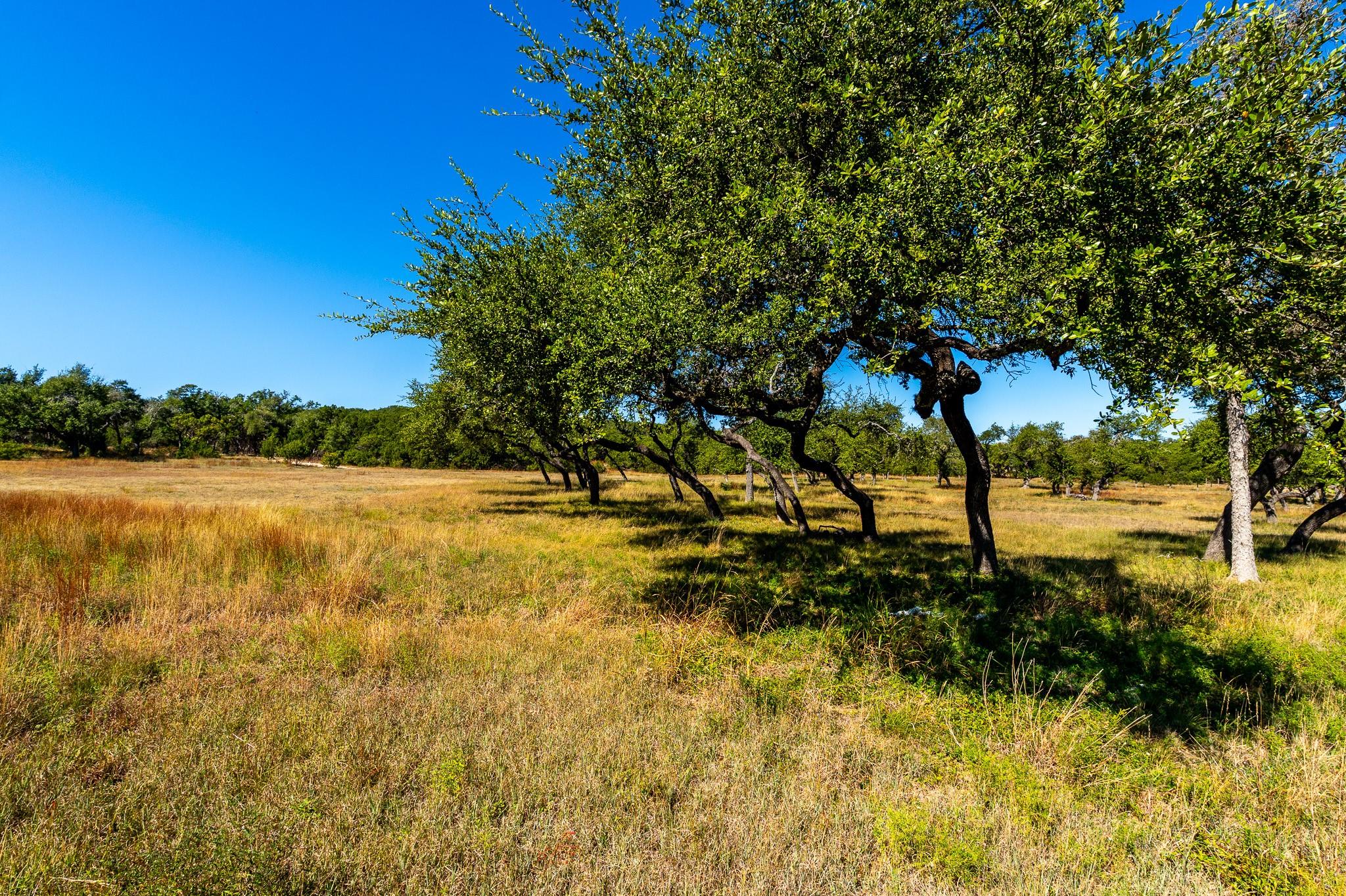 6022 FM 32, Fischer, TX 78623