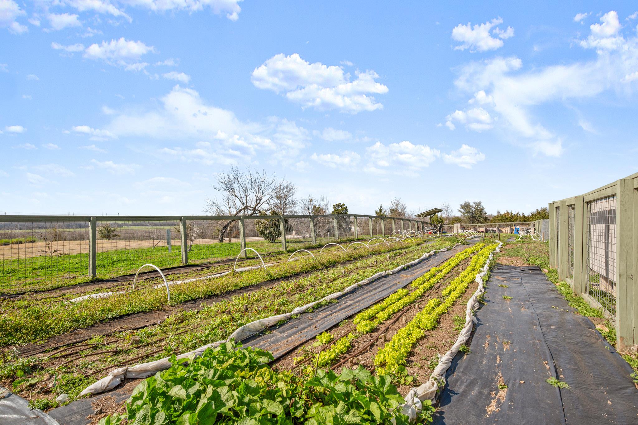 16416 Enamorado Rd, Manor, TX 78653