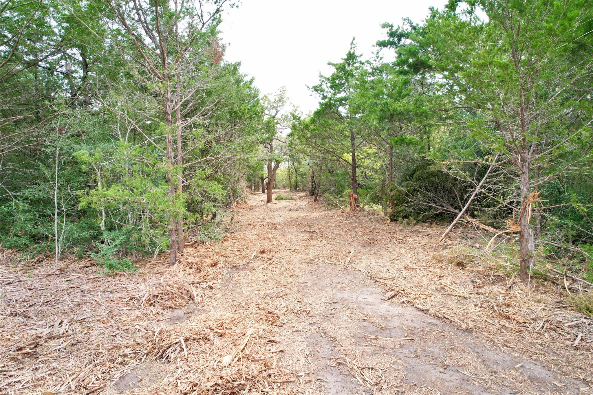 TBD Lot 11 Kovar Rd, Smithville, TX 78957