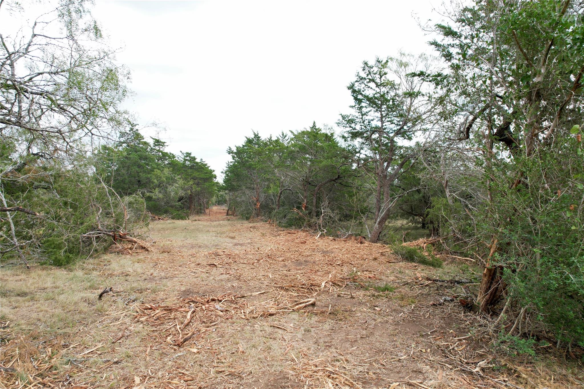 TBD Lot 11 Kovar Rd, Smithville, TX 78957