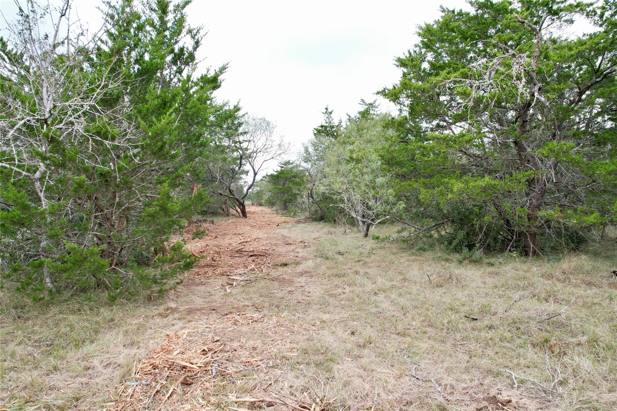TBD Lot 11 Kovar Rd, Smithville, TX 78957
