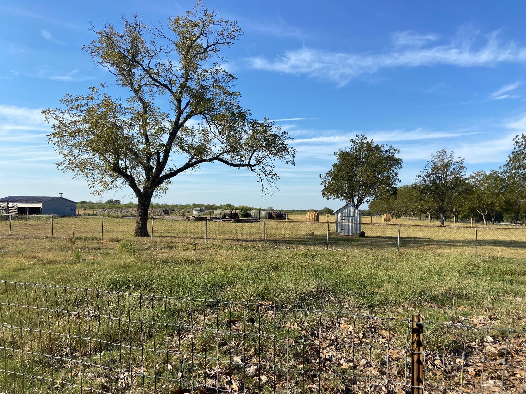 500 Greasy Bnd, Smithville, TX 78957