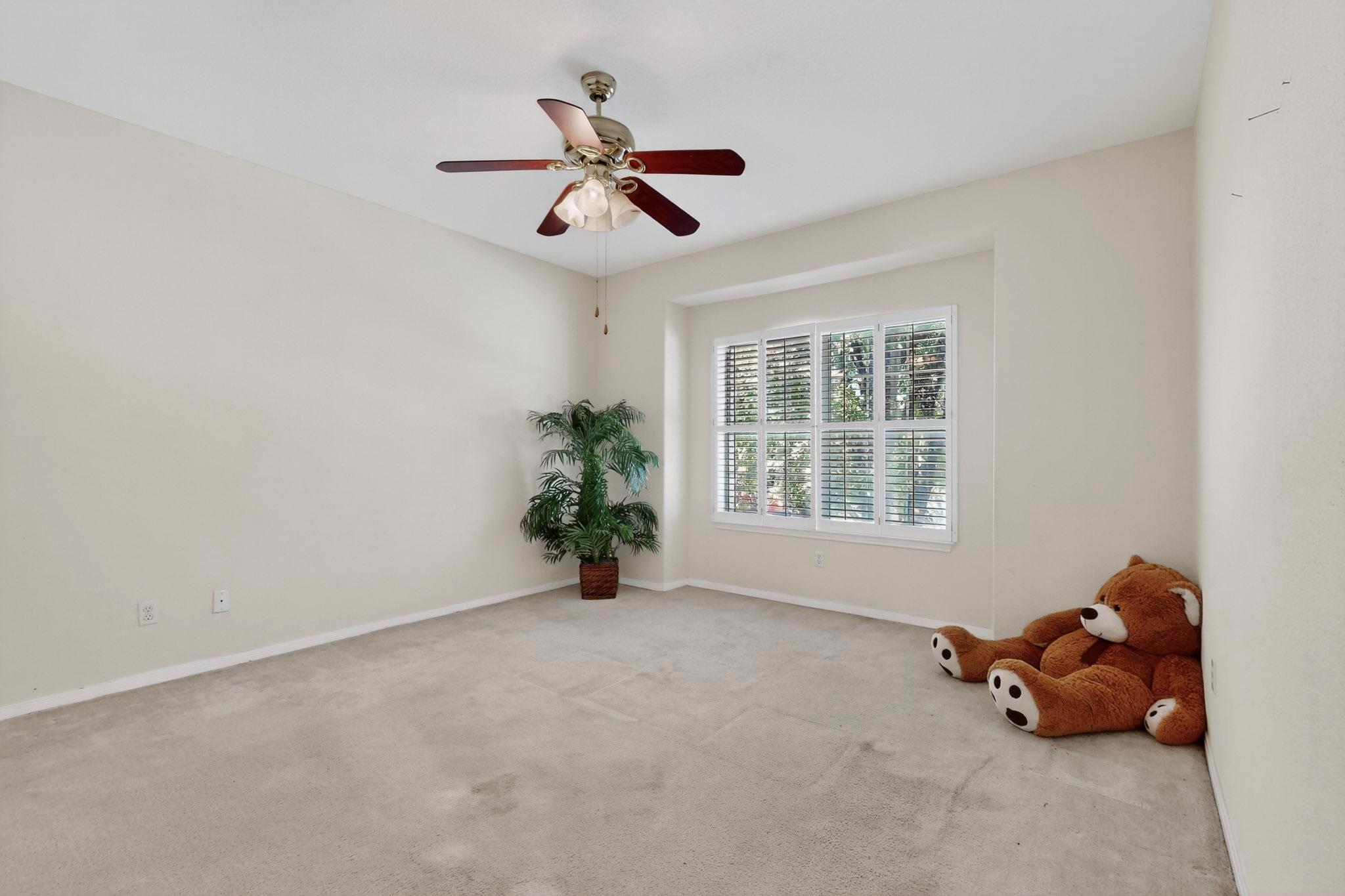 908 Cashew Ln, Cedar Park, TX 78613