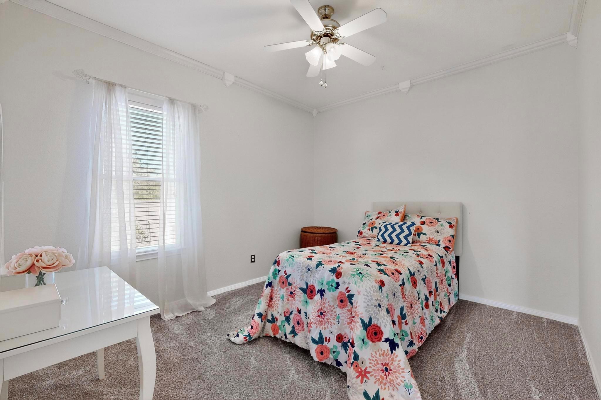 908 Cashew Ln, Cedar Park, TX 78613