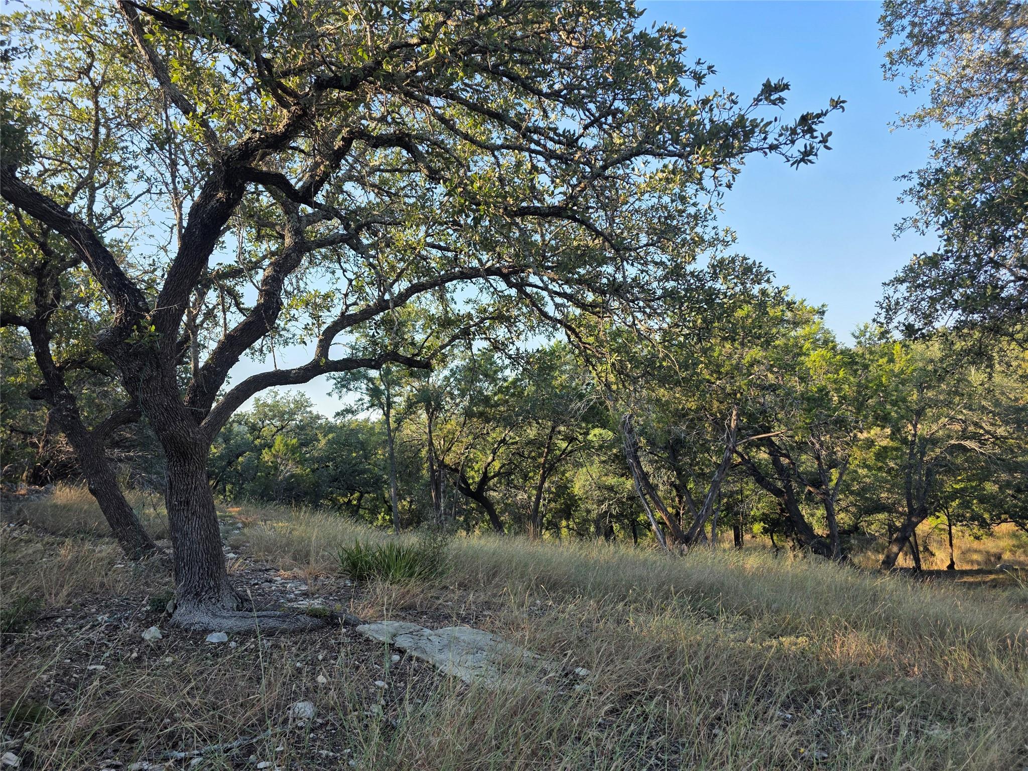 201 Sycamore Valley Rd, Dripping Springs, TX 78620