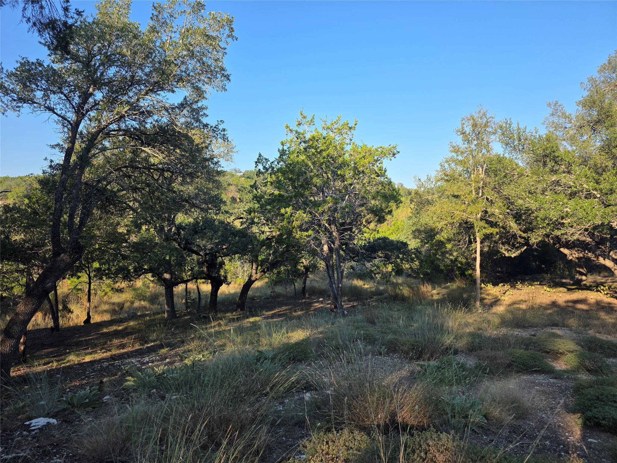 201 Sycamore Valley Rd, Dripping Springs, TX 78620