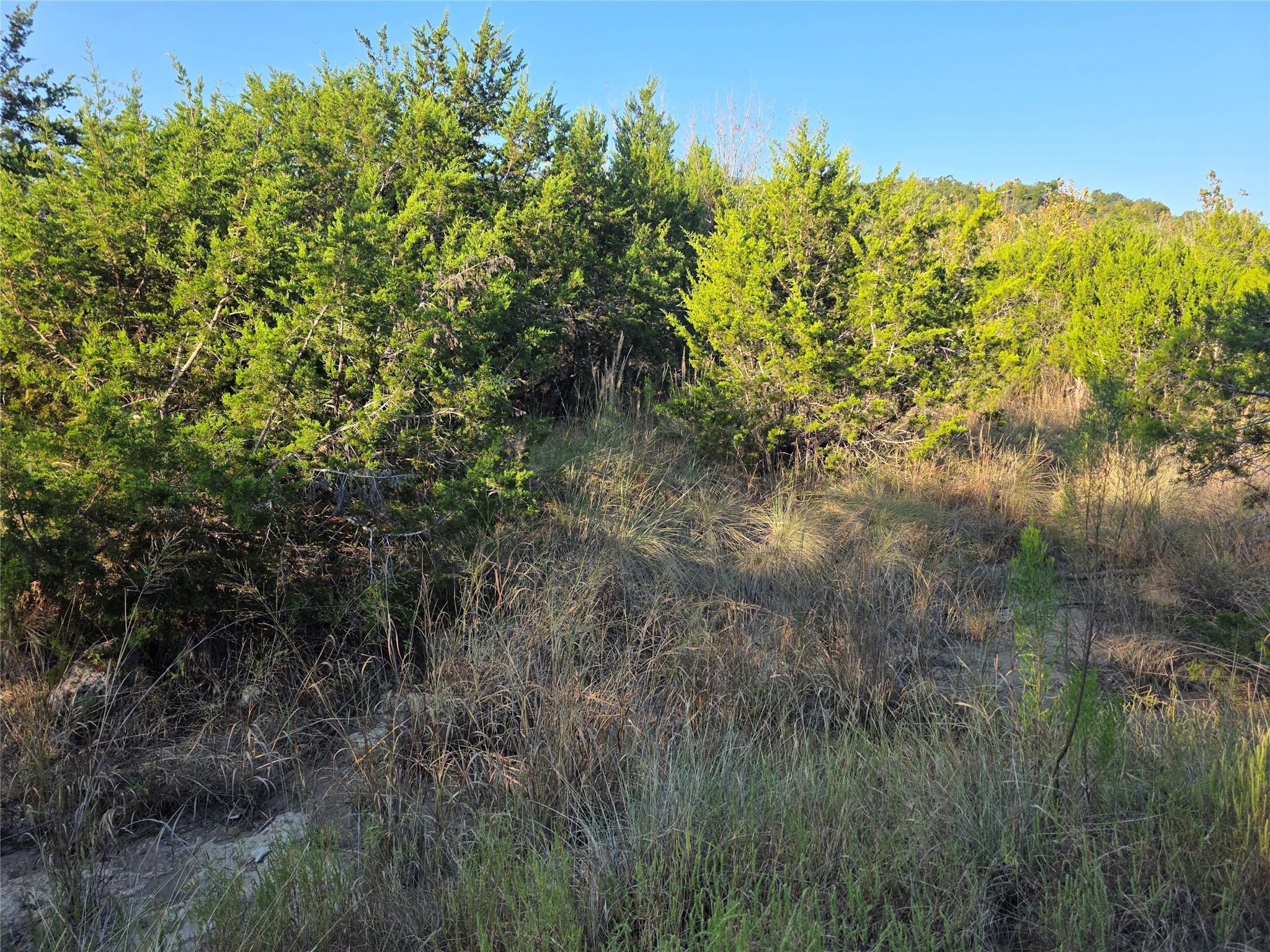 201 Sycamore Valley Rd, Dripping Springs, TX 78620