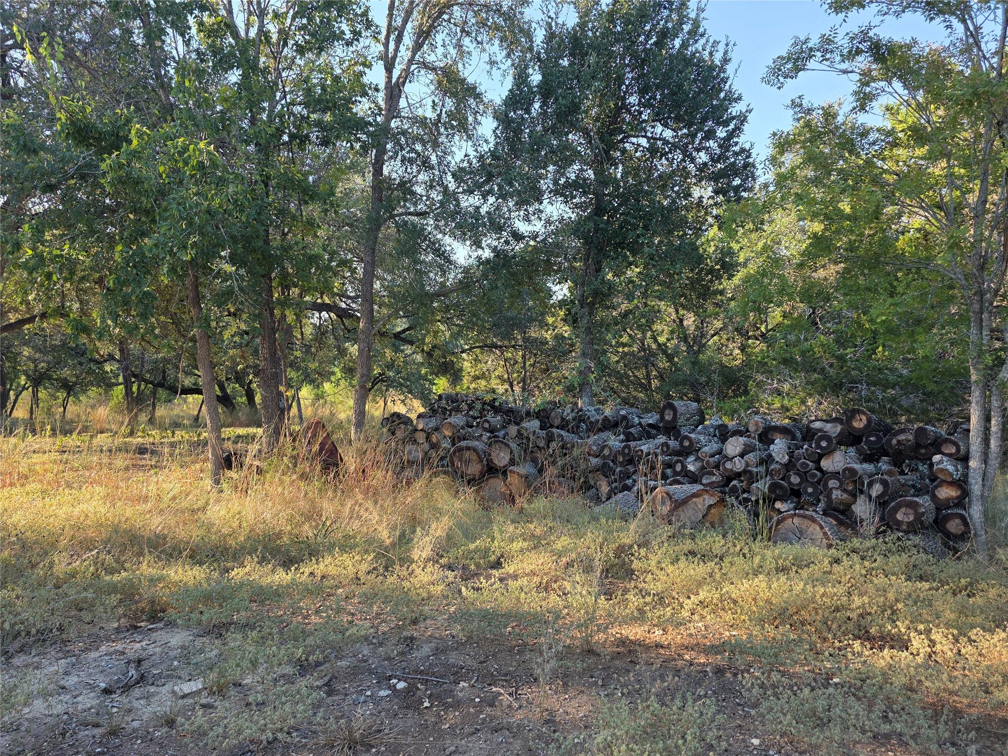 201 Sycamore Valley Rd, Dripping Springs, TX 78620