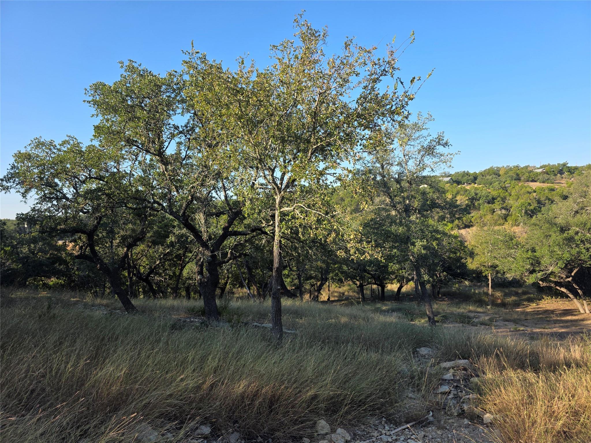 201 Sycamore Valley Rd, Dripping Springs, TX 78620
