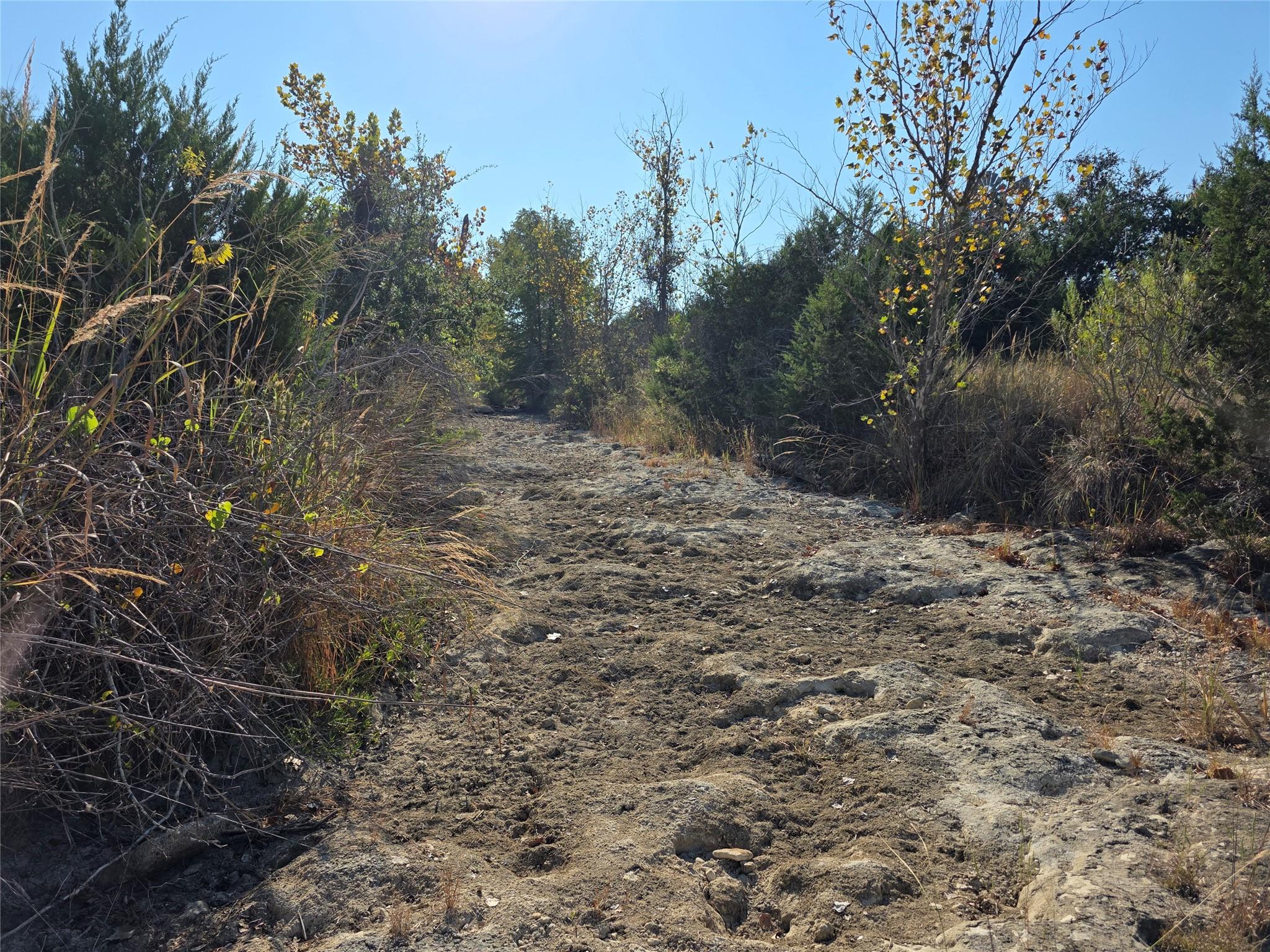 201 Sycamore Valley Rd, Dripping Springs, TX 78620