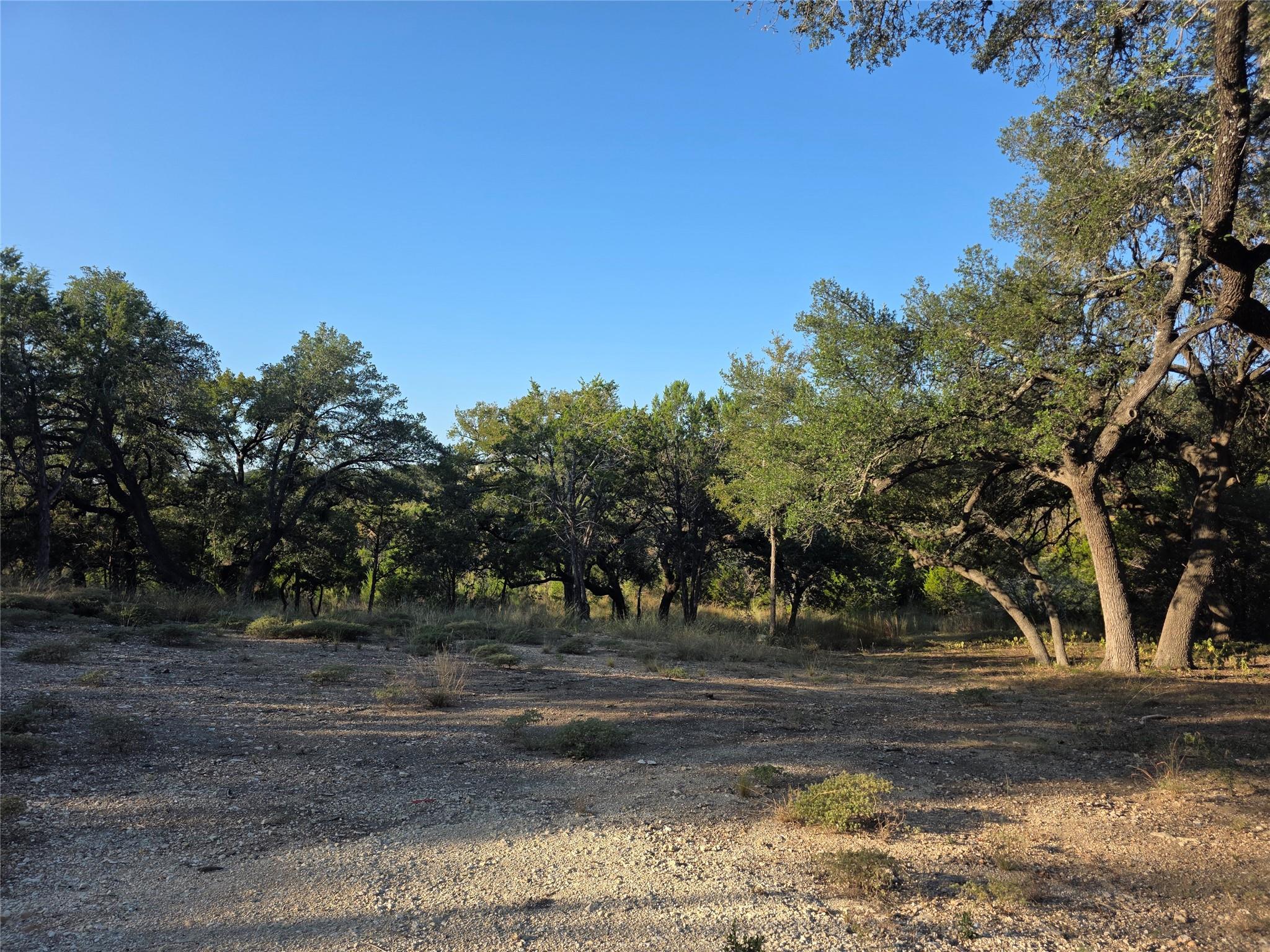 201 Sycamore Valley Rd, Dripping Springs, TX 78620