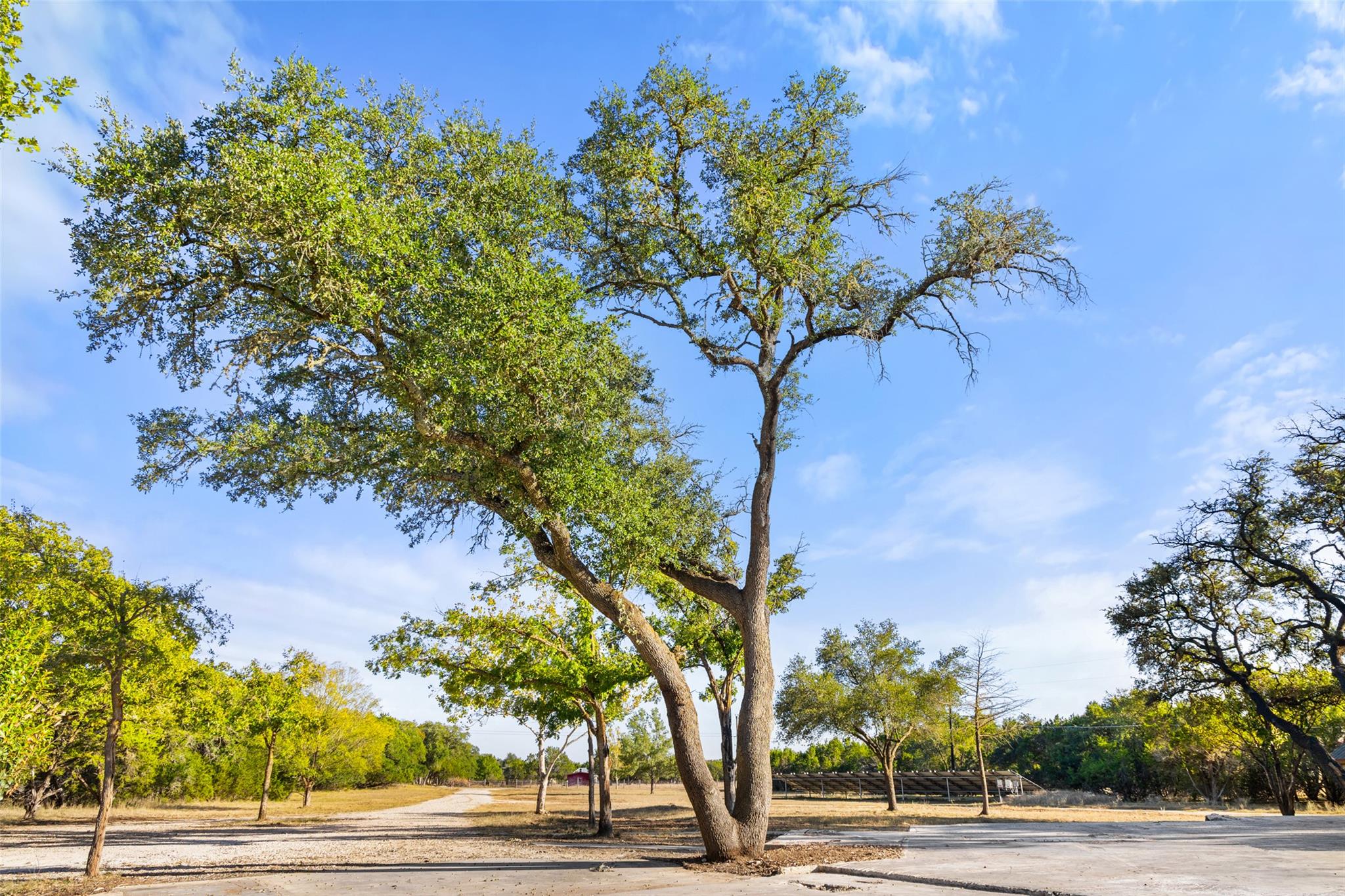 205 Mesquite Trl, Wimberley, TX 78676