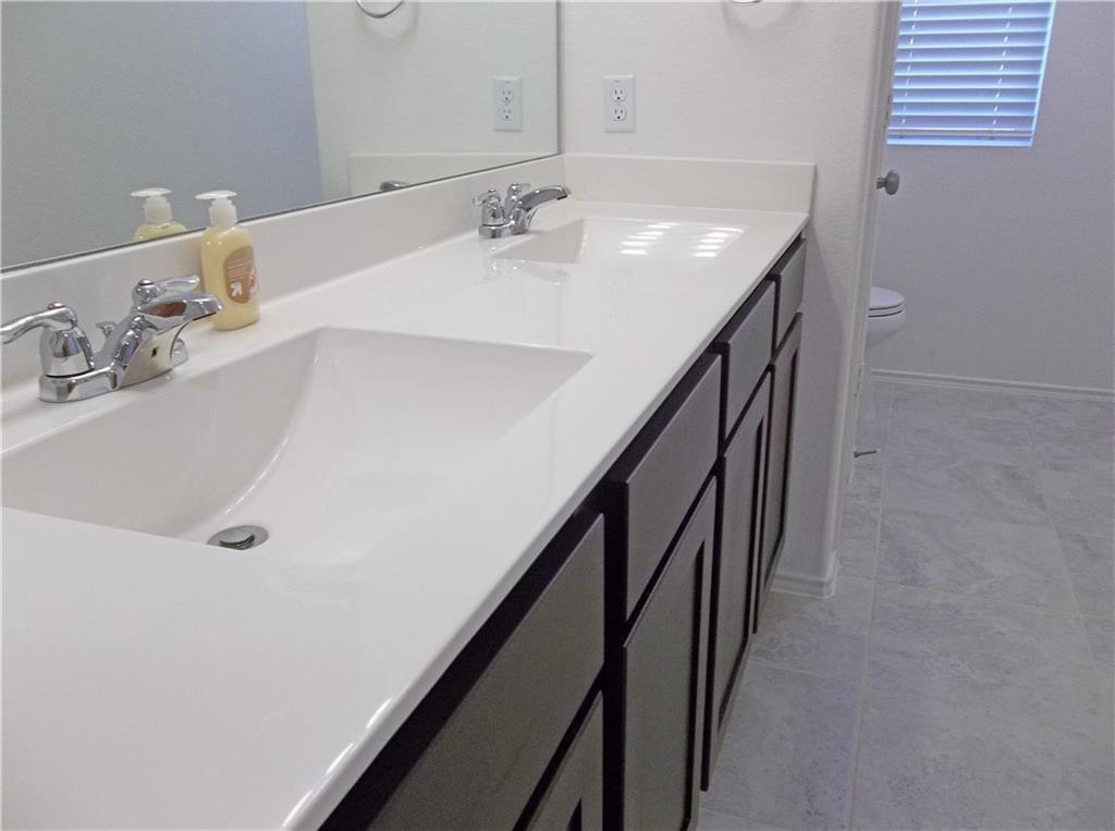 15209 Spruce Frost Cv, Del Valle, TX 78617