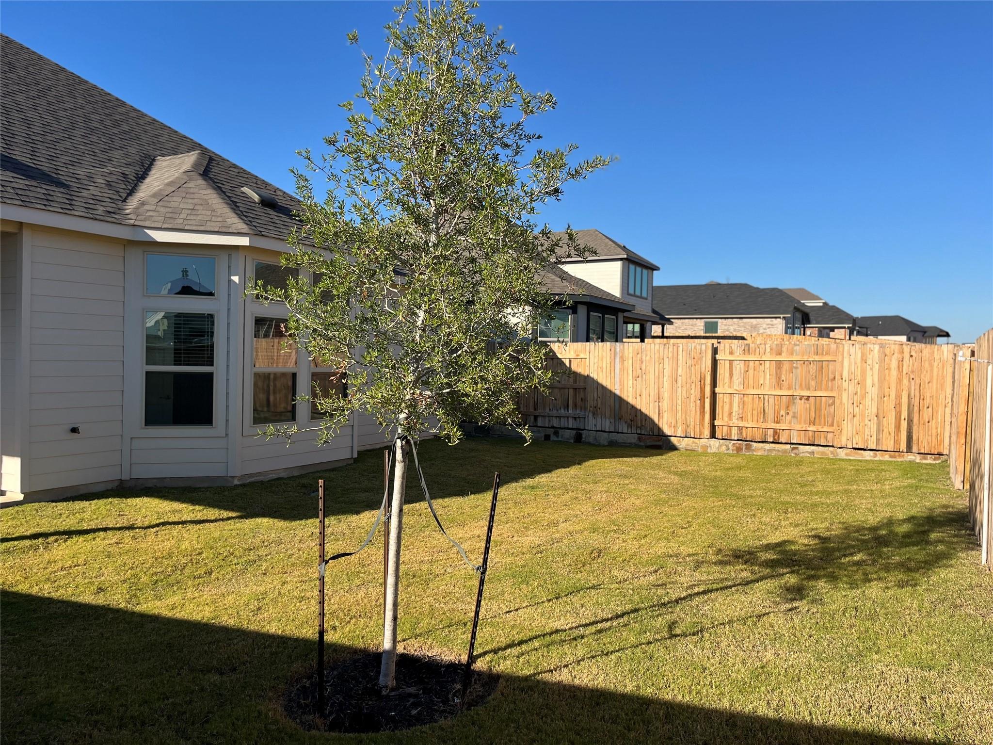 244 Rubber Tree Way, Buda, TX 78610