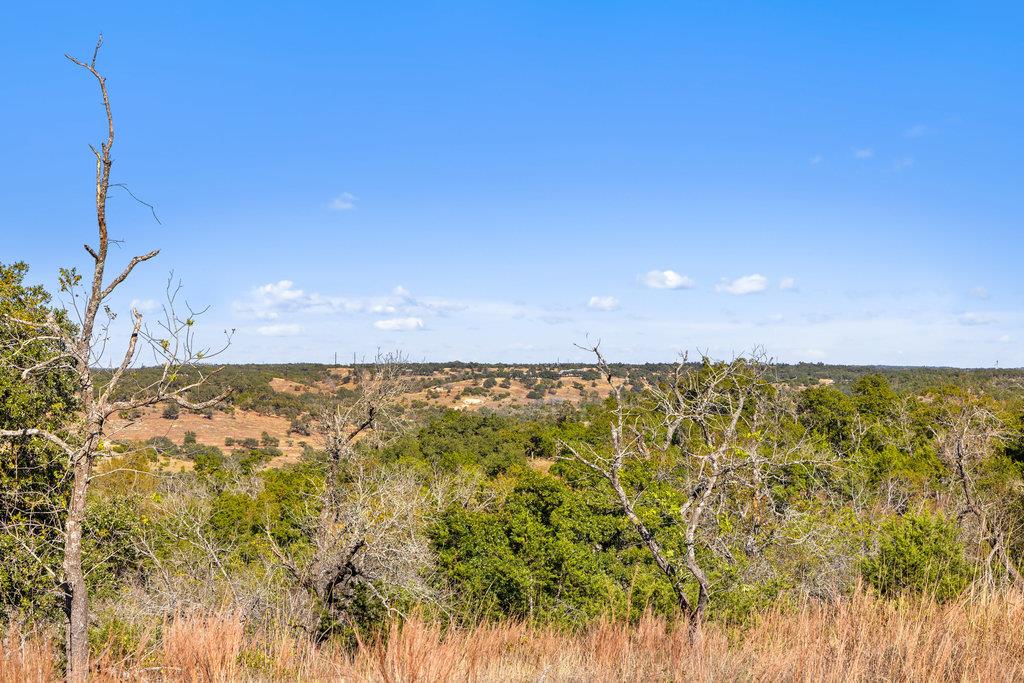 41 Moon Beam Ct, Blanco, TX 78606