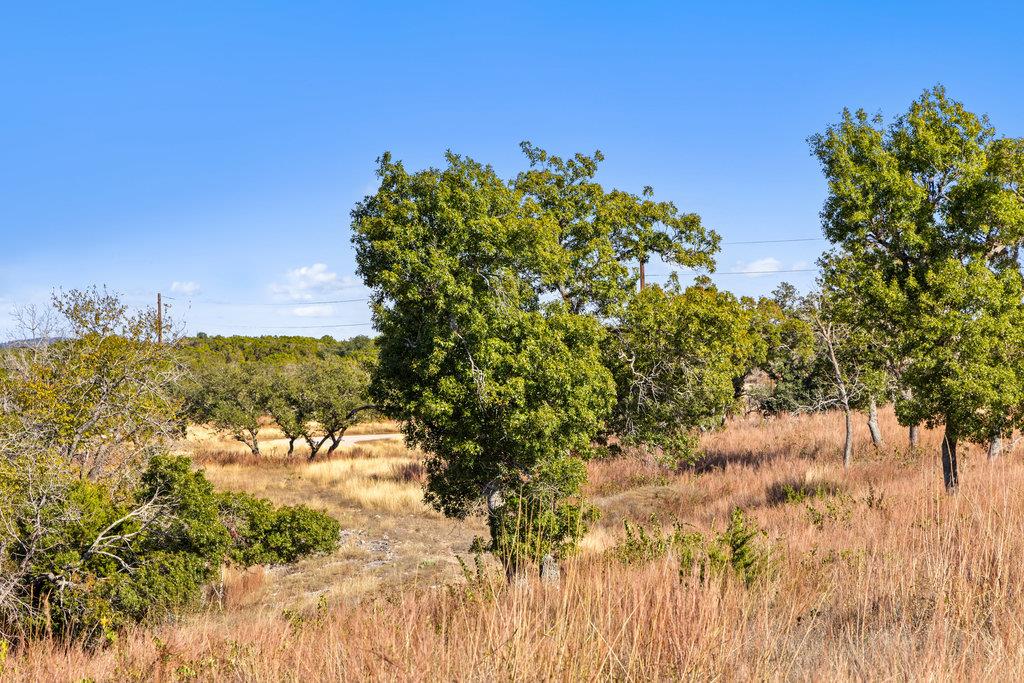 41 Moon Beam Ct, Blanco, TX 78606