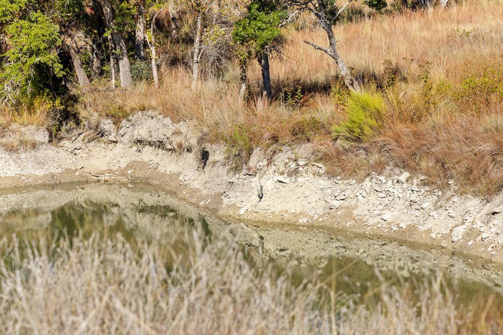 41 Moon Beam Ct, Blanco, TX 78606